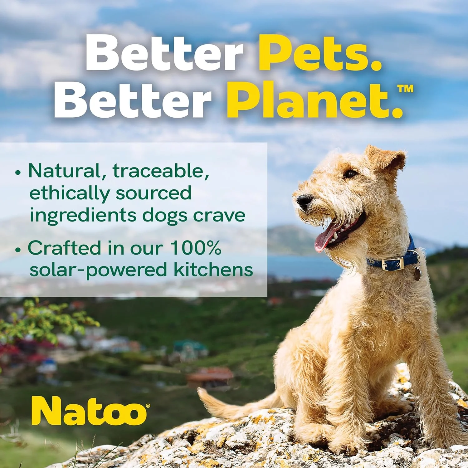 NATOO Dog Food Topper for Picky Eaters & Dog Treat (Salmon with Pumpkin), Dog Toppers for Dry Food, Wet Meal Toppers for Dogs & Puppies, Limited Ingredient Dog Food, (Case of 20) 3 oz Each - Image 4