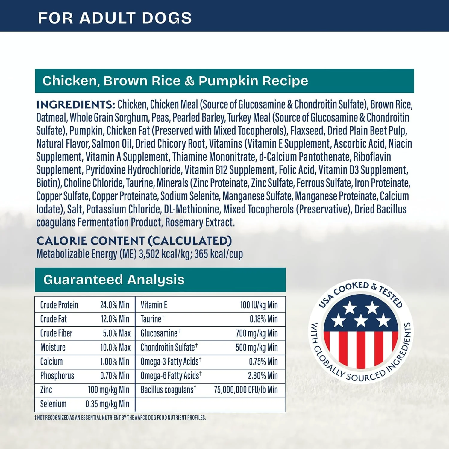 Natural Balance Health Protection Dry Dog Food – Whole Body Health, Easy on Digestion Dog Food Made with Chicken, Brown Rice & Pumpkin for Dogs - 4lbs. - Image 6
