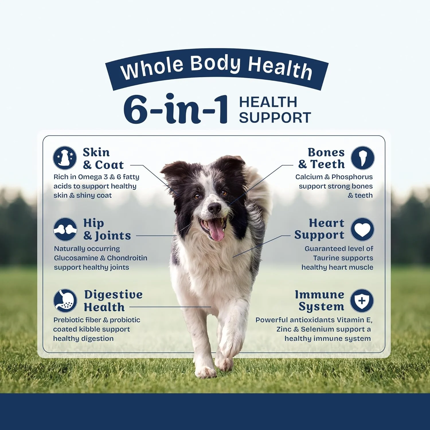Natural Balance Health Protection Dry Dog Food – Whole Body Health, Easy on Digestion Dog Food Made with Lamb, Brown Rice & Pumpkin for Dogs - 24lbs. - Image 4