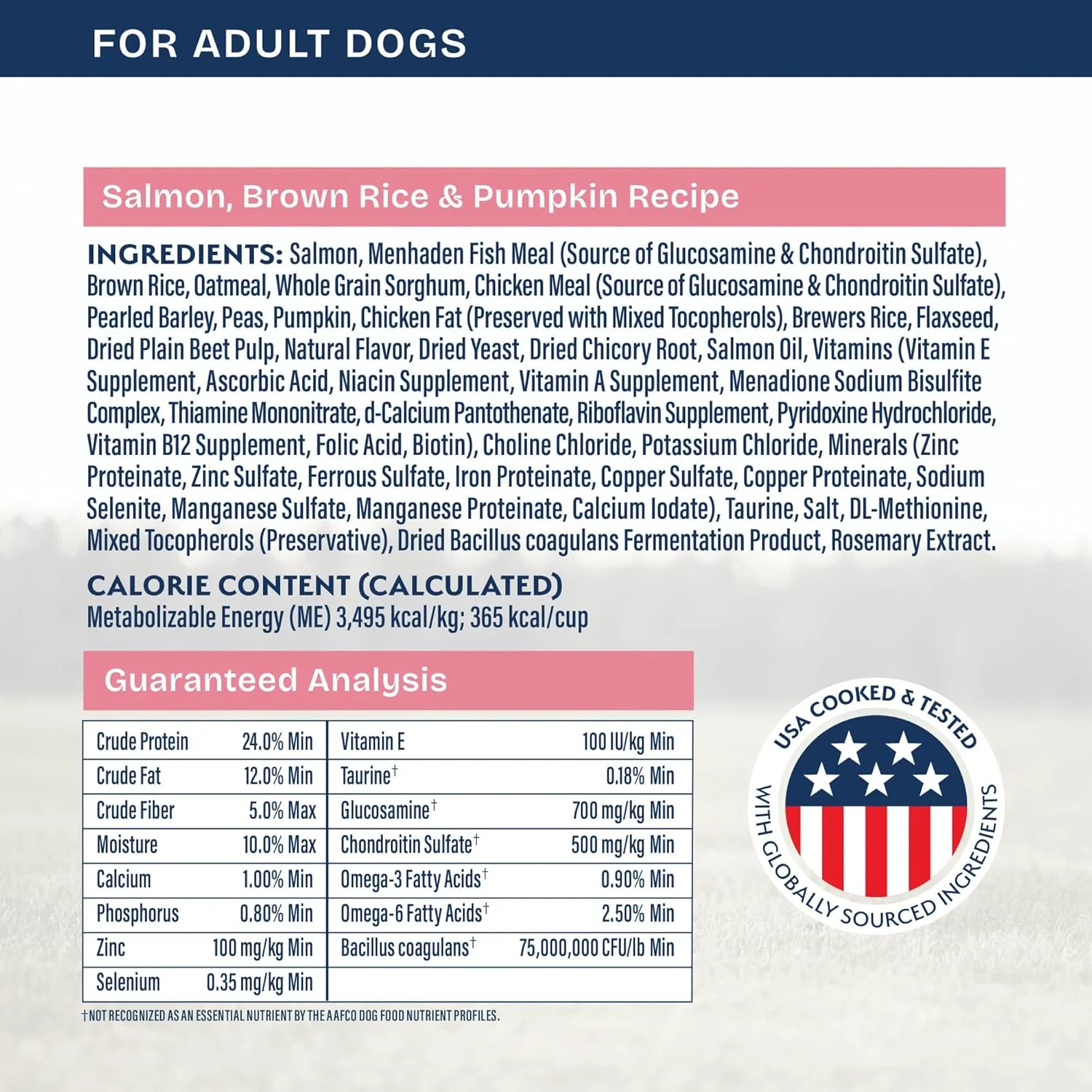 Natural Balance Health Protection Dry Dog Food – Whole Body Health, Easy on Digestion Dog Food Made with Salmon, Brown Rice & Pumpkin for Dogs - 22lbs. - Image 6