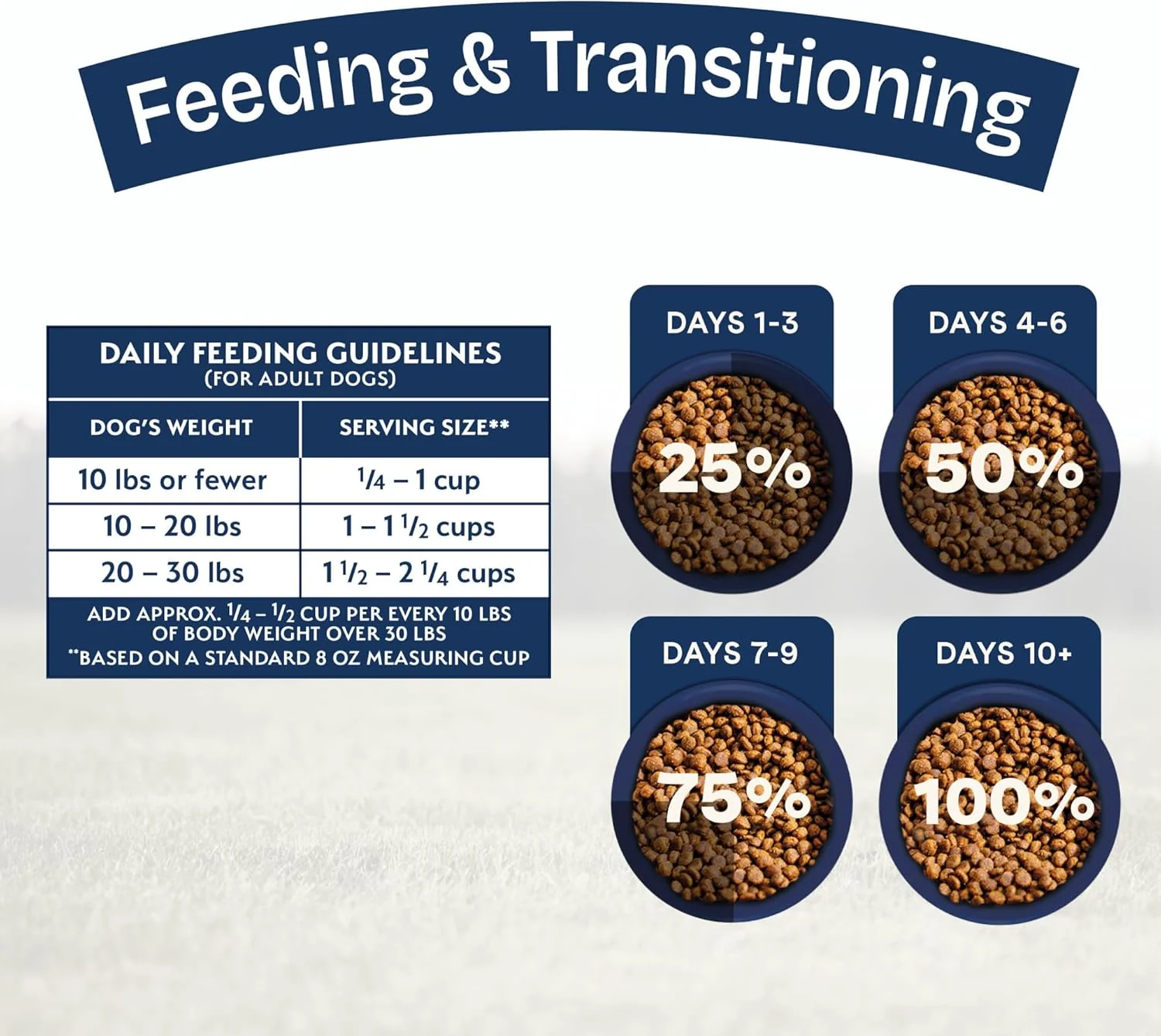 Natural Balance Health Protection Small Breed Dry Dog Food – Whole Body Health, Easy on Digestion Dog Food Made with Chicken, Brown Rice & Pumpkin for Dogs - 12lbs. - Image 9