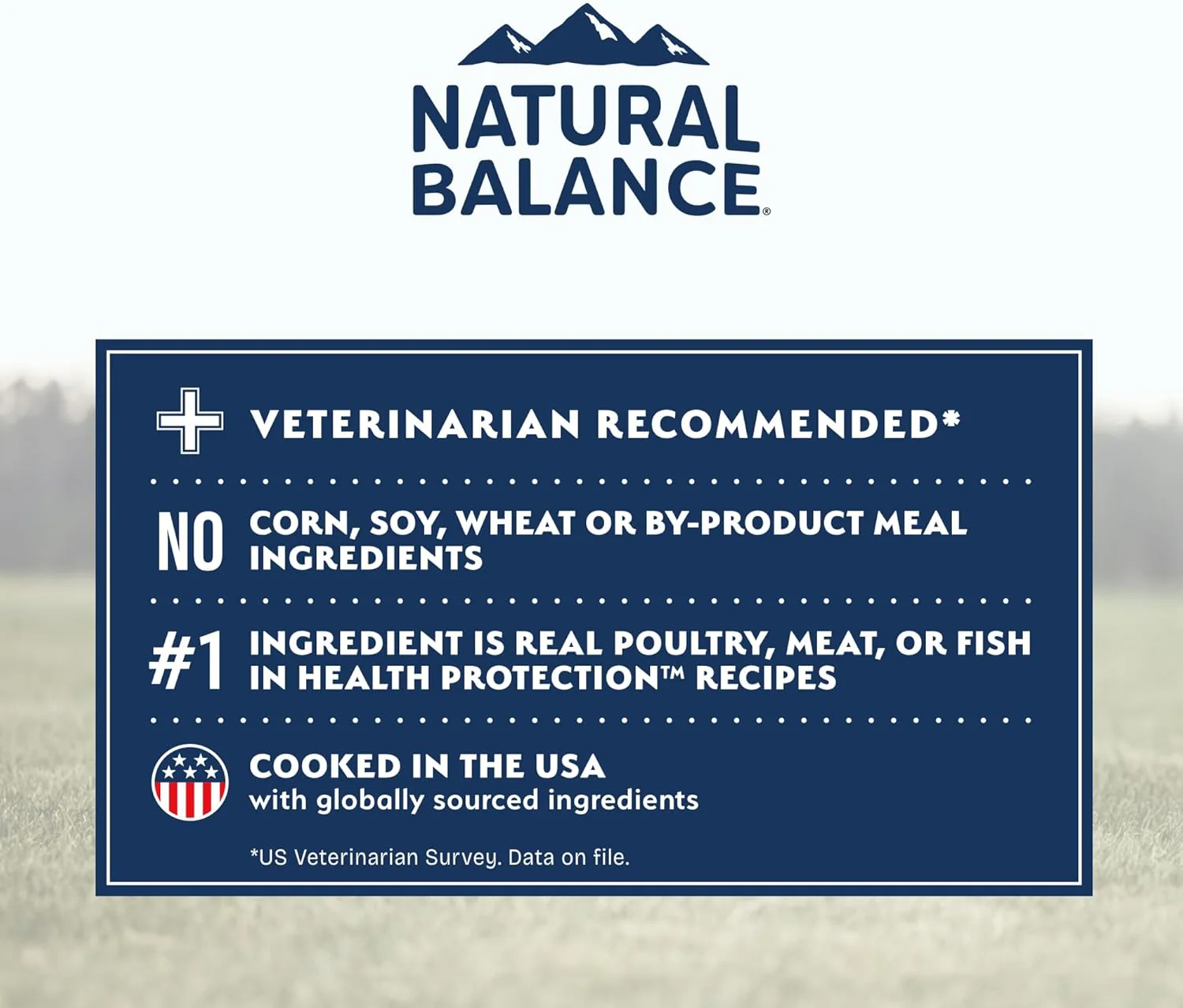Natural Balance Health Protection Puppy Dry Dog Food – Whole Body Health, Easy on Digestion Dog Food Made with Chicken, Brown Rice & Pumpkin for Puppies - 12lbs. - Image 7