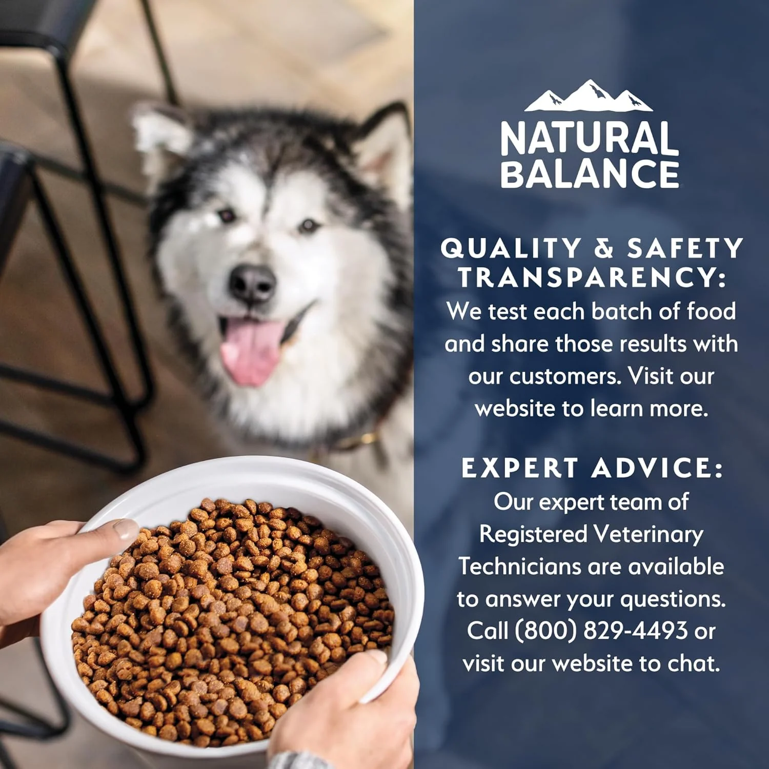 Natural Balance Health Protection Puppy Dry Dog Food – Whole Body Health, Easy on Digestion Dog Food Made with Chicken, Brown Rice & Pumpkin for Puppies - 12lbs. - Image 9