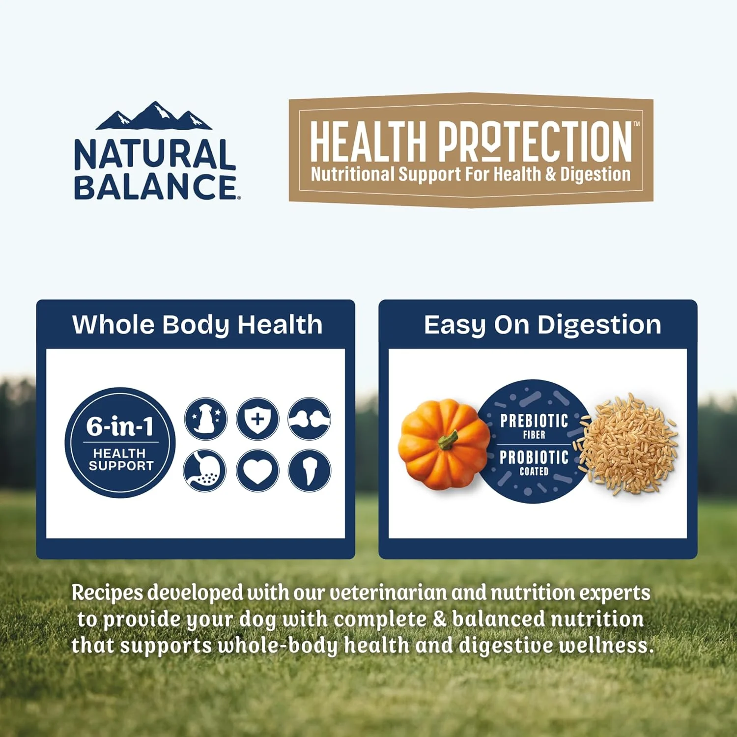 Natural Balance Health Protection Small Breed Dry Dog Food – Whole Body Health, Easy on Digestion Dog Food Made with Chicken, Brown Rice & Pumpkin for Dogs - 4lbs. - Image 3