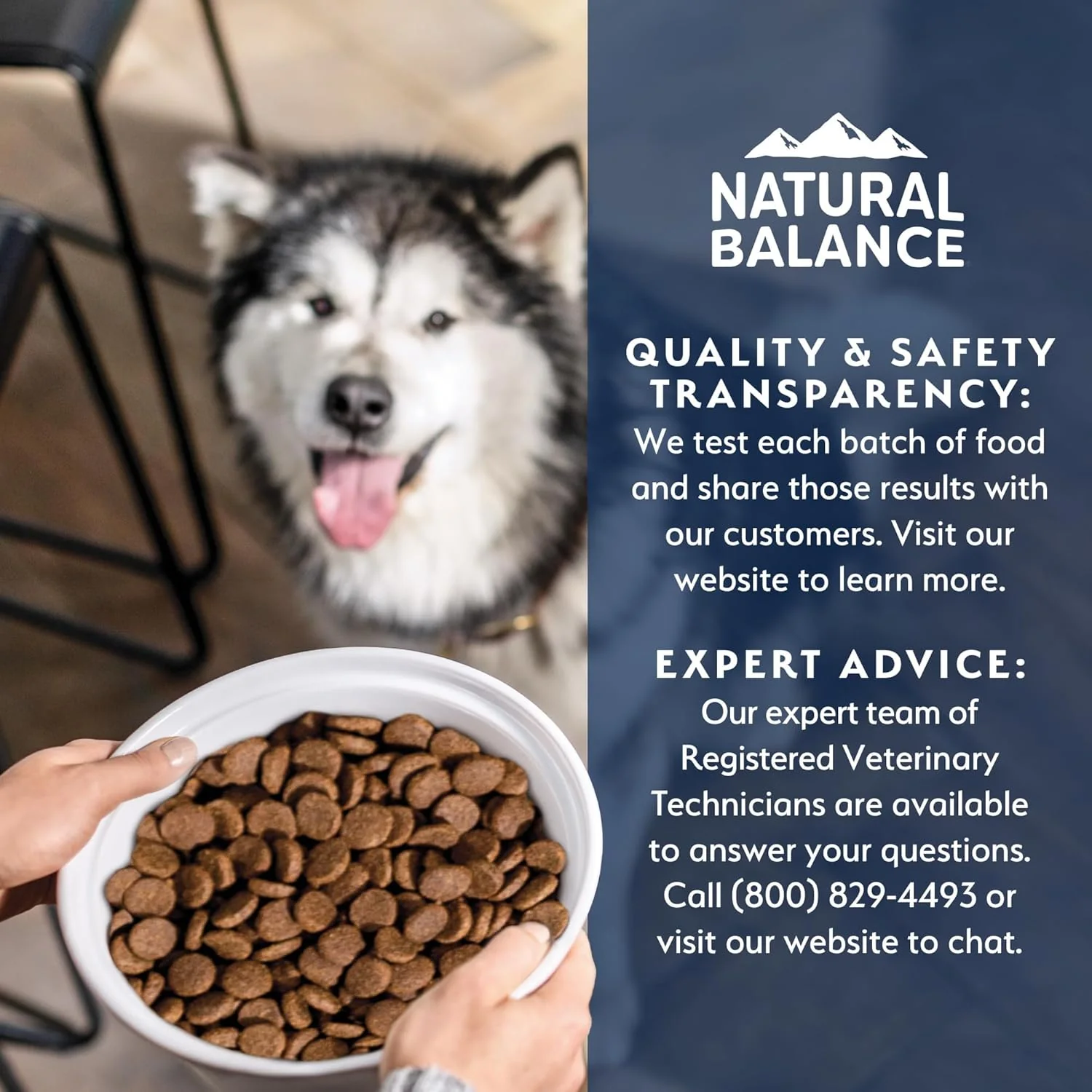 Natural Balance Health Protection Small Breed Dry Dog Food – Whole Body Health, Easy on Digestion Dog Food Made with Chicken, Brown Rice & Pumpkin for Dogs - 4lbs. - Image 8