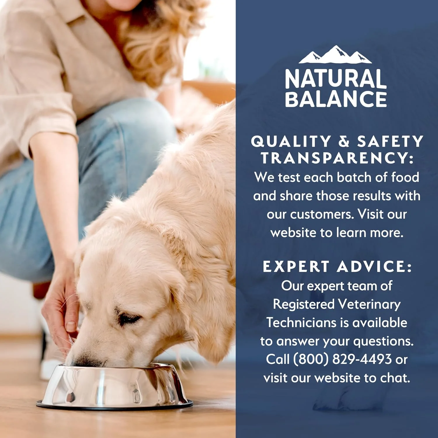 Natural Balance Health Protection Wet Dog Food - Whole Body Health, Easy on Digestion, Salmon Broth, Salmon, Pumpkin & Brown Rice Stew, Digestive Wellness Dog Food, High in Fiber - 12.5oz (Case of 6) - Image 5