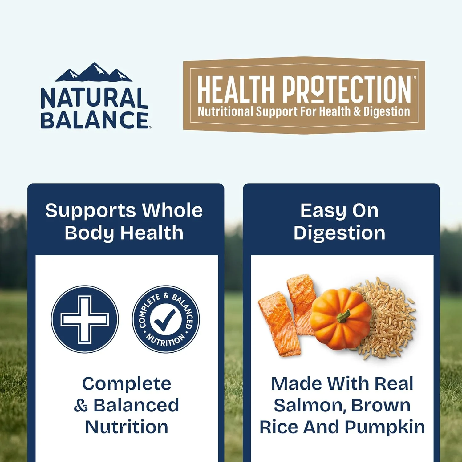 Natural Balance Health Protection Wet Dog Food - Whole Body Health, Easy on Digestion, Salmon Broth, Salmon, Pumpkin & Brown Rice Stew, Digestive Wellness Dog Food, High in Fiber - 12.5oz (Case of 6) - Image 7