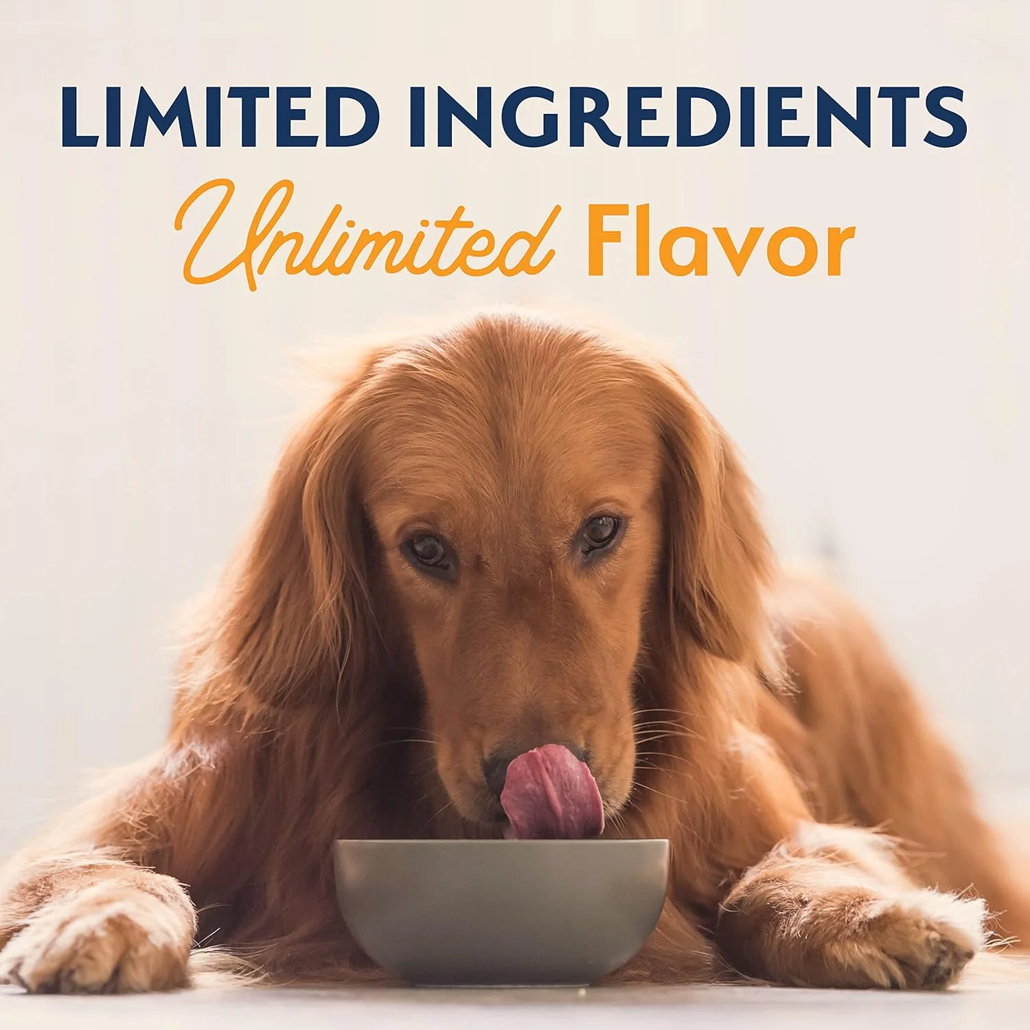 Natural Balance Limited Ingredient Adult Grain-Free Dry Dog Food, Reserve Duck & Potato Recipe, 22 Pound (Pack of 1) - Image 9