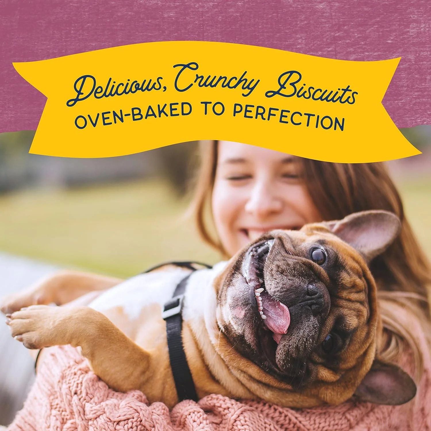 Natural Balance Limited Ingredient Rewards Crunchy Biscuits, Grain-Free Dog Treats for Adult Dogs of All Breeds, Venison Recipe, 14 Ounce (Pack of 1) - Image 5