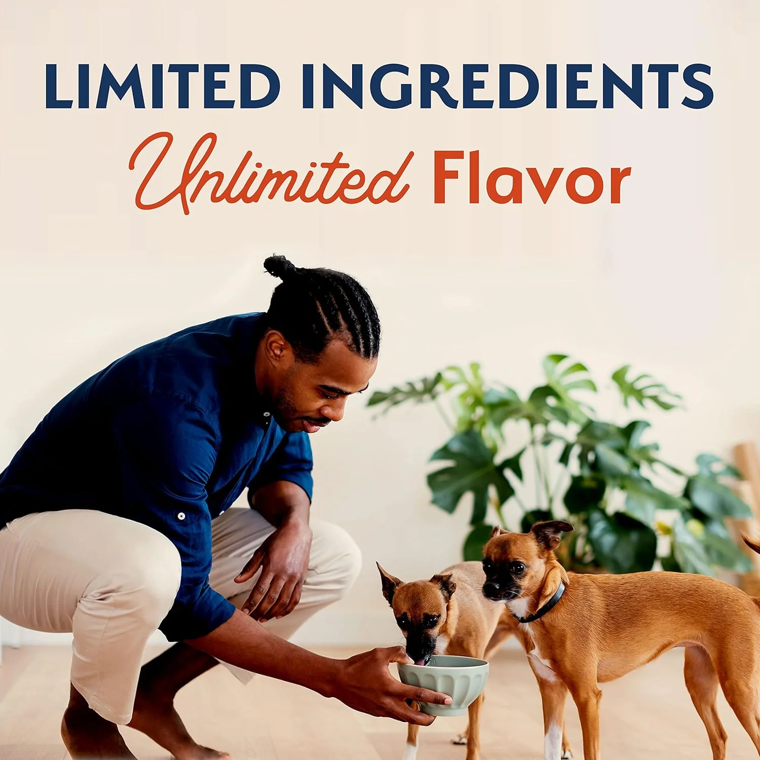 Natural Balance Limited Ingredient Small Breed Adult Grain-Free Dry Dog Food, Salmon & Sweet Potato Recipe - Image 8