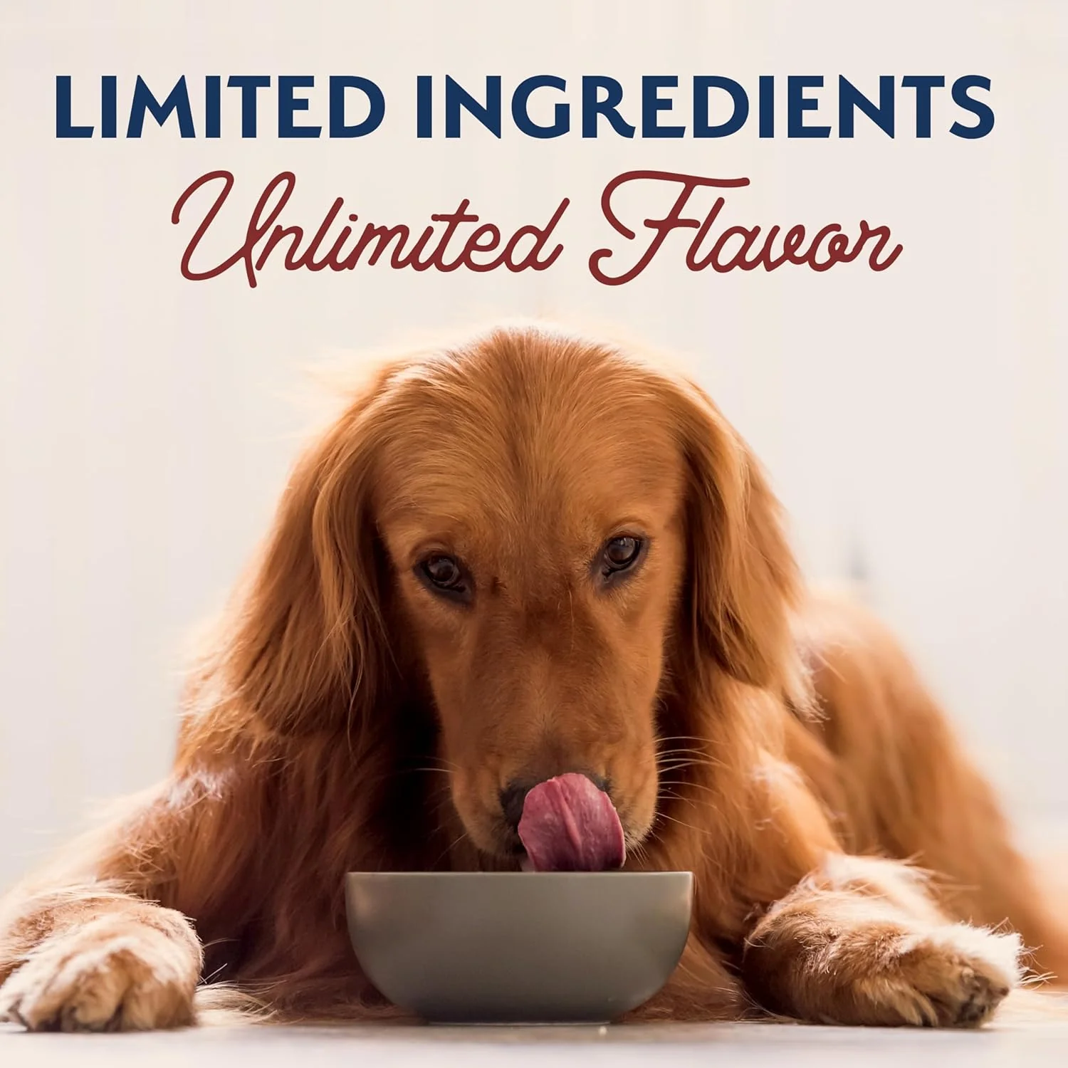 Natural Balance Limited Ingredient Adult Wet Canned Dog Food with Healthy Grains, Beef & Brown Rice Recipe, 13 Ounce (Pack of 12) - Image 11