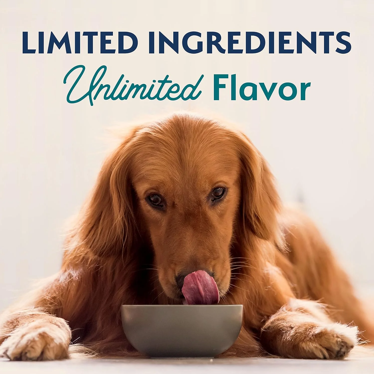 Natural Balance Limited Ingredient Adult Dry Dog Food with Healthy Grains, Chicken & Brown Rice Recipe, 24 Pound (Pack of 1) - Image 7
