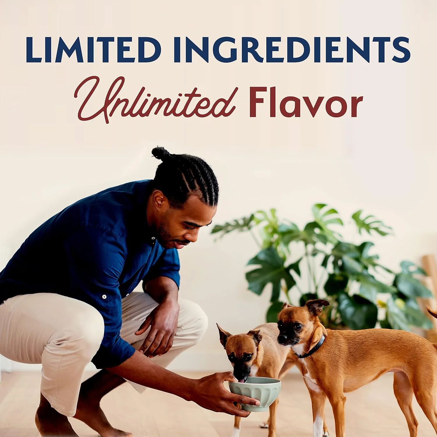 Natural Balance Limited Ingredient Small-Breed Adult Dry Dog Food with Healthy Grains, Beef & Brown Rice, 12 Pound (Pack of 1) - Image 8