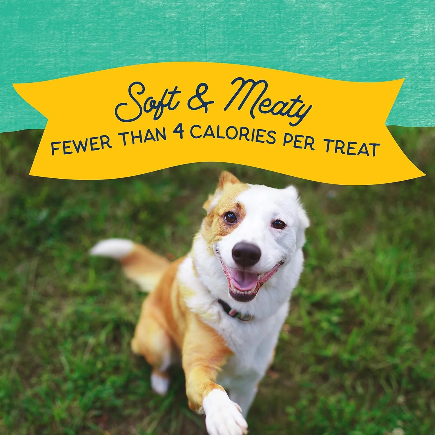 Natural Balance Limited Ingredient Mini-Rewards Grain-Free, Training Treats for Dogs | 5.3-oz. Canister - Image 4