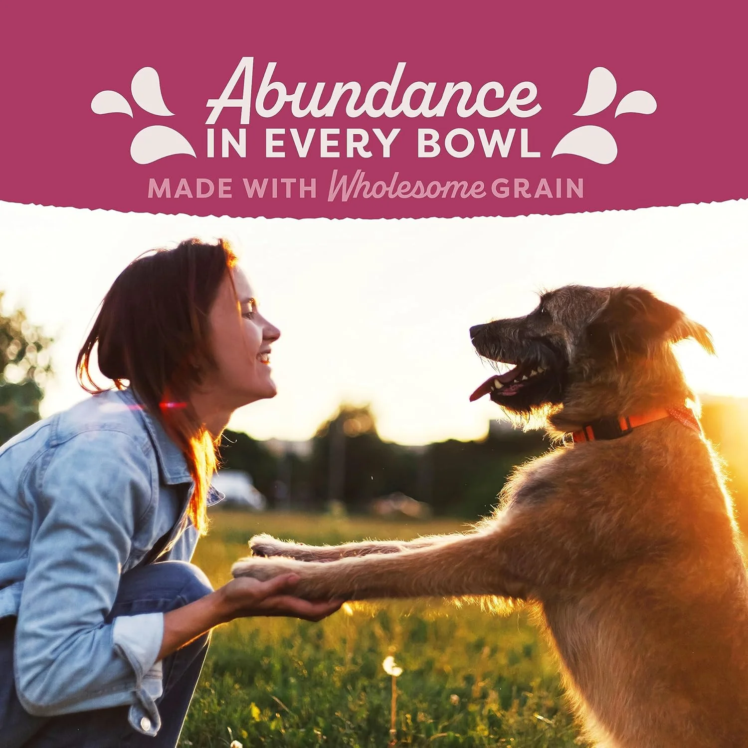 Natural Balance Original Ultra Fat Dogs Chicken Meal, Salmon Meal & Barley Recipe Low Calorie Dry Dog Food, 11 Pounds - Image 10