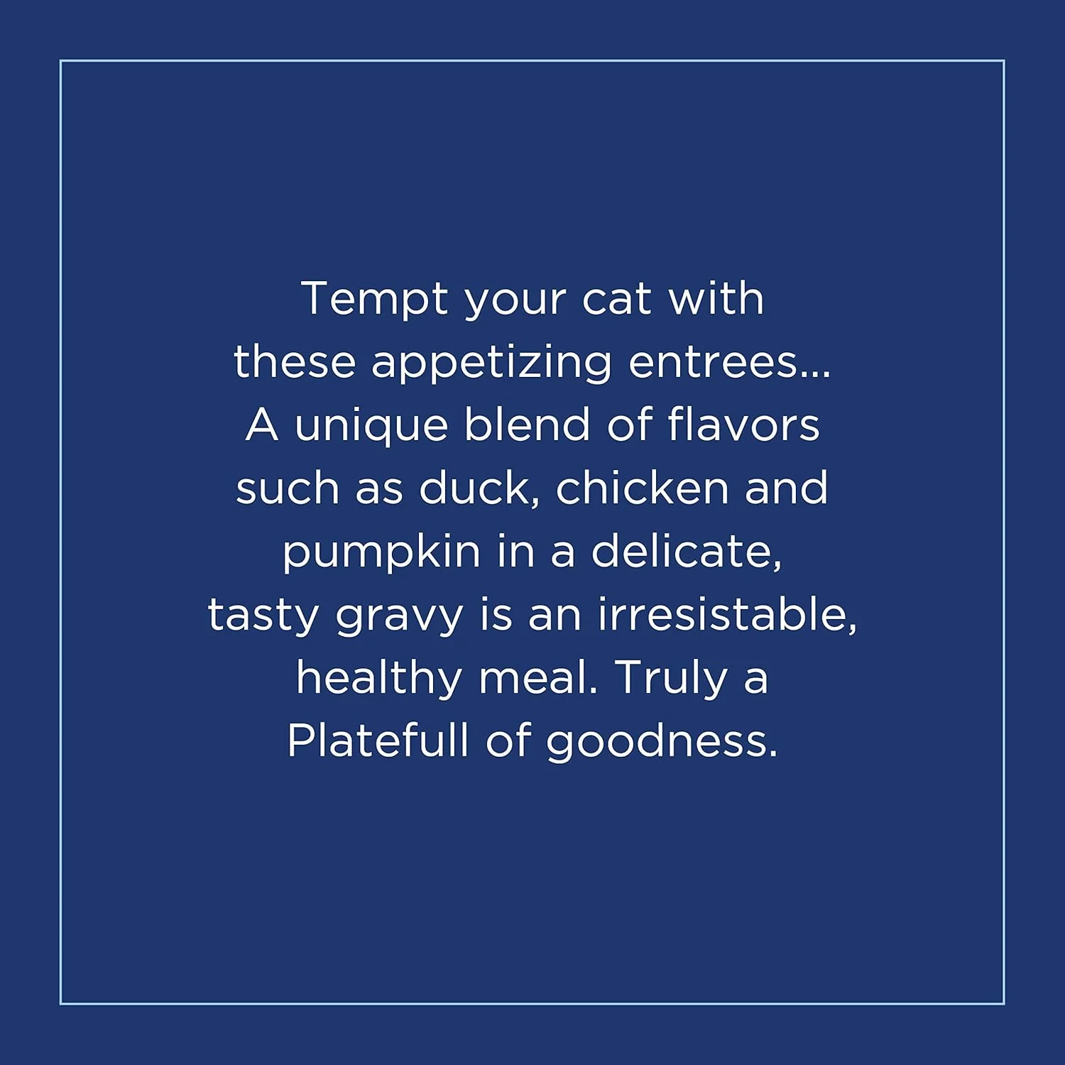 Natural Balance Original Ultra Platefulls Indoor Adult Grain Free Wet Cat Food, Duck, Chicken & Pumpkin Recipe, 3 Ounce Pouch (Pack of 24) - Image 7