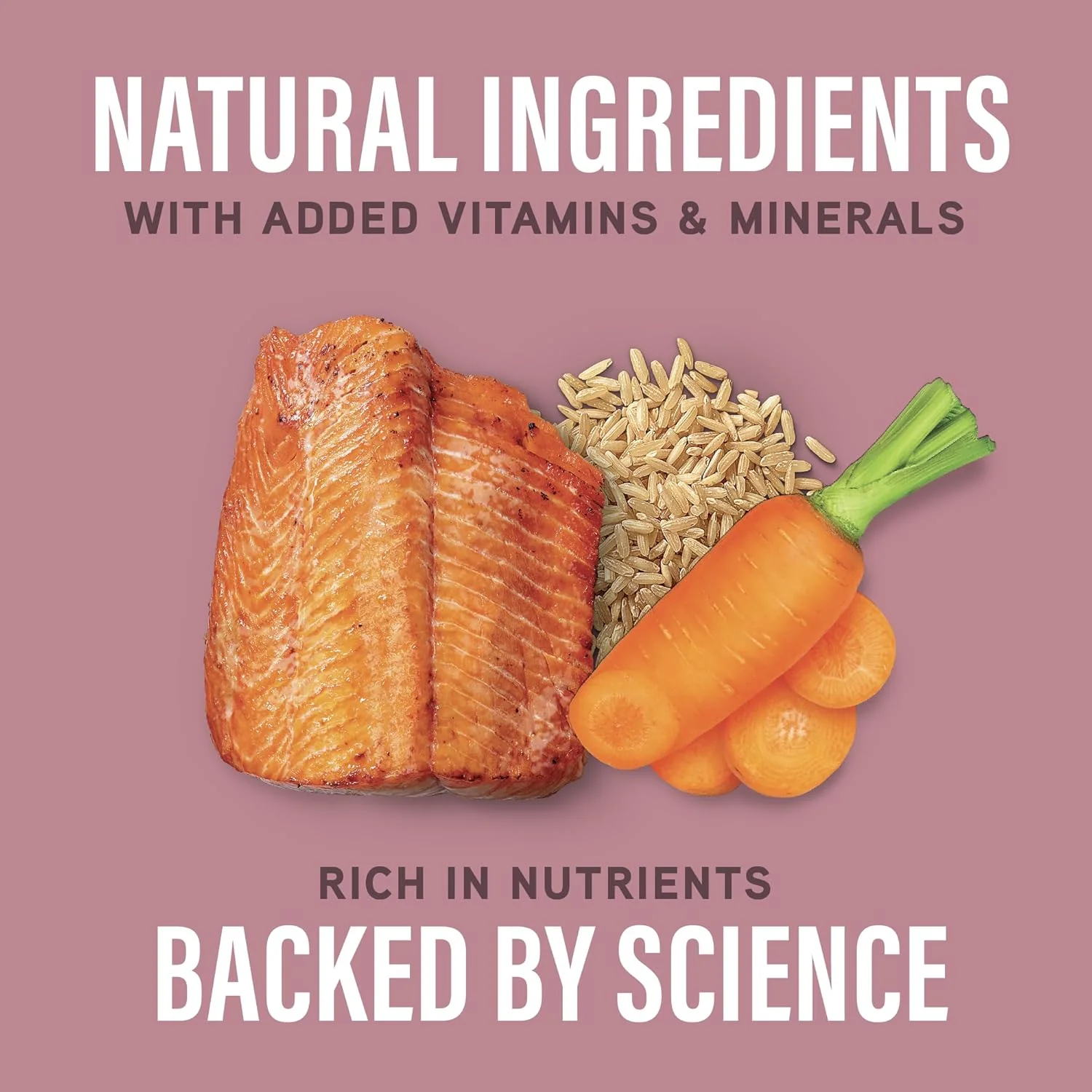 Natural Balance Specialized Nutrition Wet Dog Food, Sensitive Skin & Stomach Formula with Salmon and Brown Rice for Dogs, Natural Ingredients with Added Vitamins & Minerals - 12.7 oz. (Case of 12) - Image 6