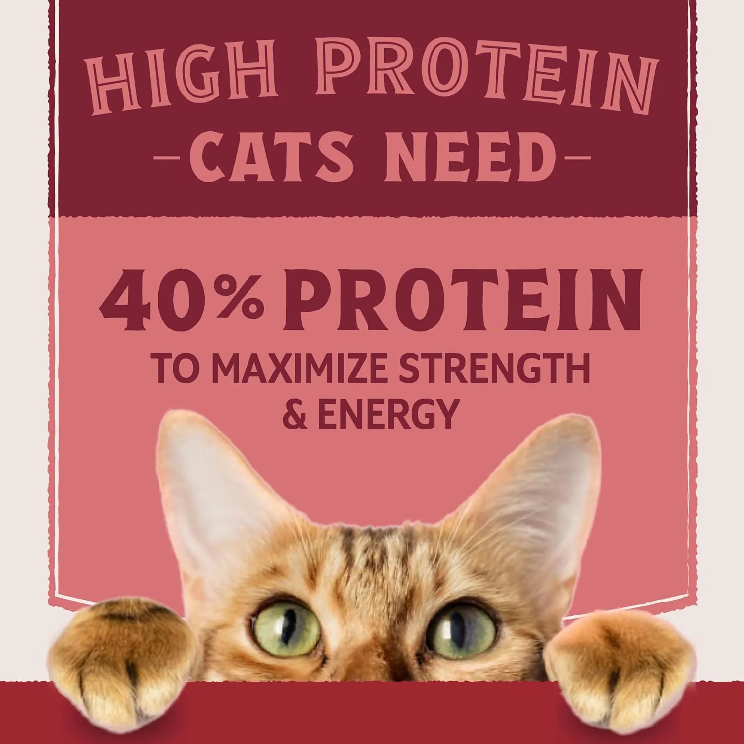 Natural Balance Ultra Protein Dry Cat Food, Real Salmon & Chicken Meal Recipe, 6 lbs. - Image 4