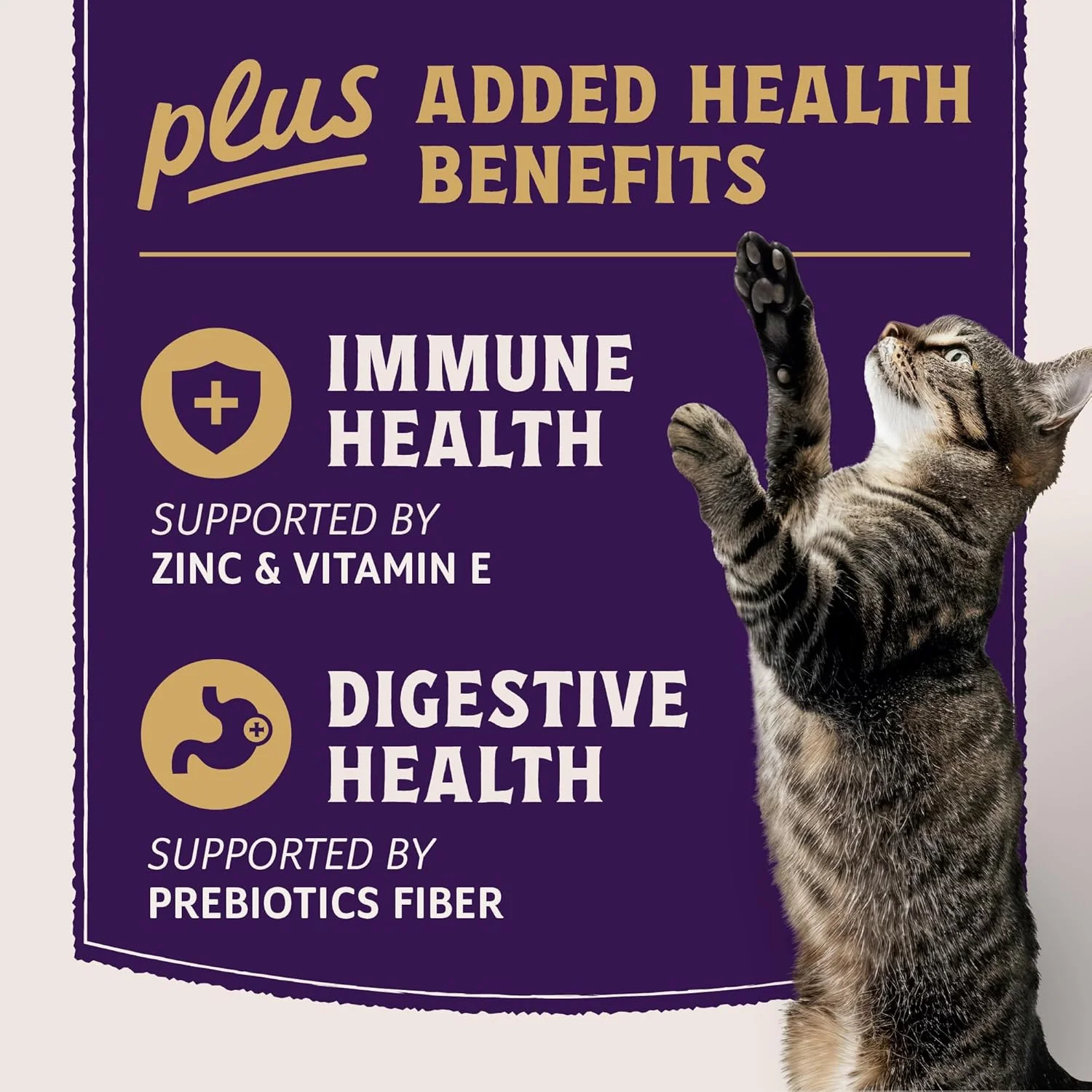 Natural Balance Ultra Protein Plus Wet Cat Food, Immune & Digestive Health Real Chicken with Pumpkin Puree Topper with Chicken Liver & Chicken Heart, High Protein Cat Food - 2.4 oz. (Pack of 24) - Image 2