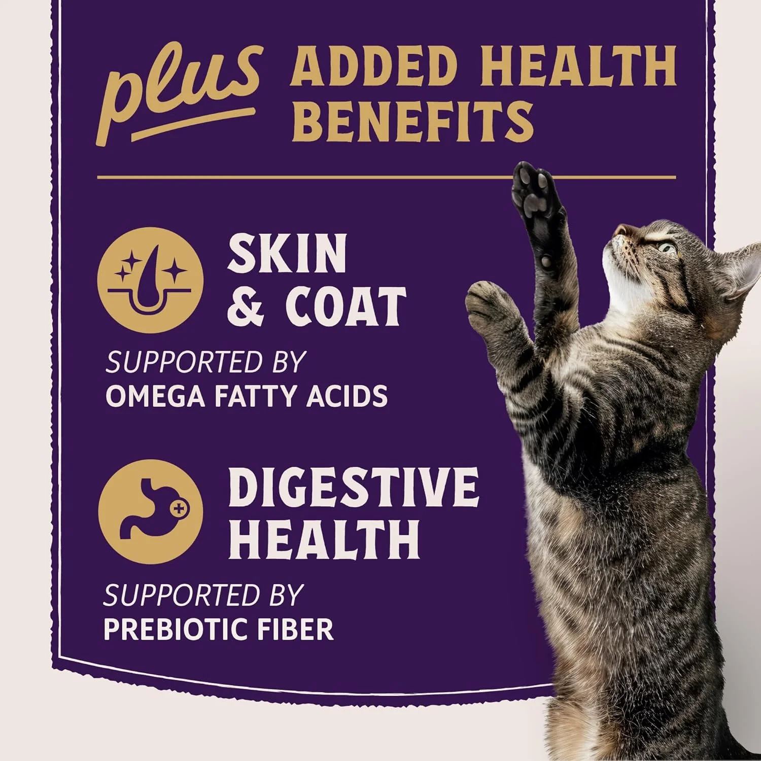 Natural Balance Ultra Protein Plus Wet Cat Food, Skin & Coat and Digestive Health Real Salmon With Pumpkin Puree Topper With Chicken Liver & Chicken Heart, High Protein Cat Food - 2.4 oz. (Pack of 6) - Image 4