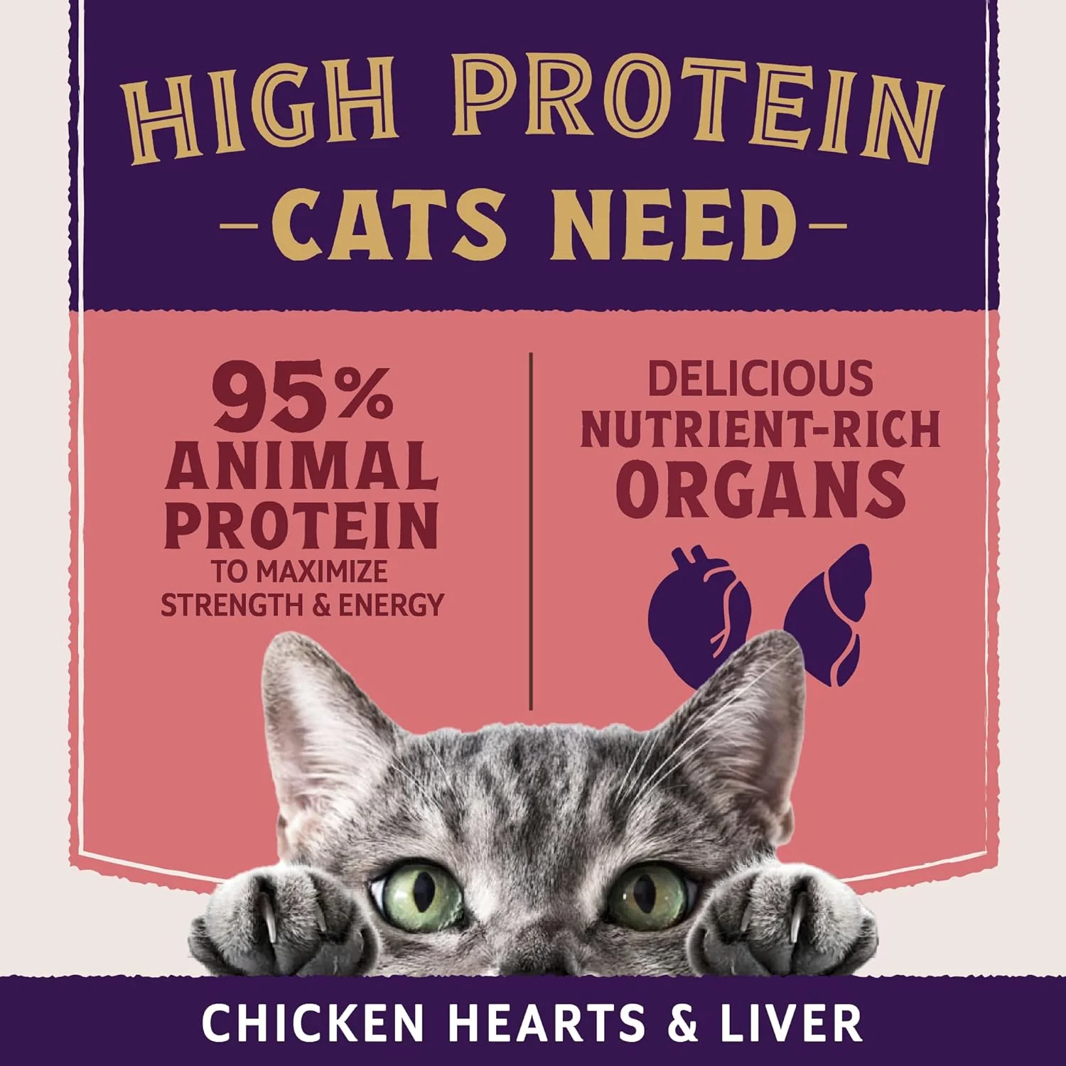 Natural Balance Ultra Protein Plus Wet Cat Food, Skin & Coat and Digestive Health Real Salmon With Pumpkin Puree Topper With Chicken Liver & Chicken Heart, High Protein Cat Food - 2.4 oz. (Pack of 6) - Image 6