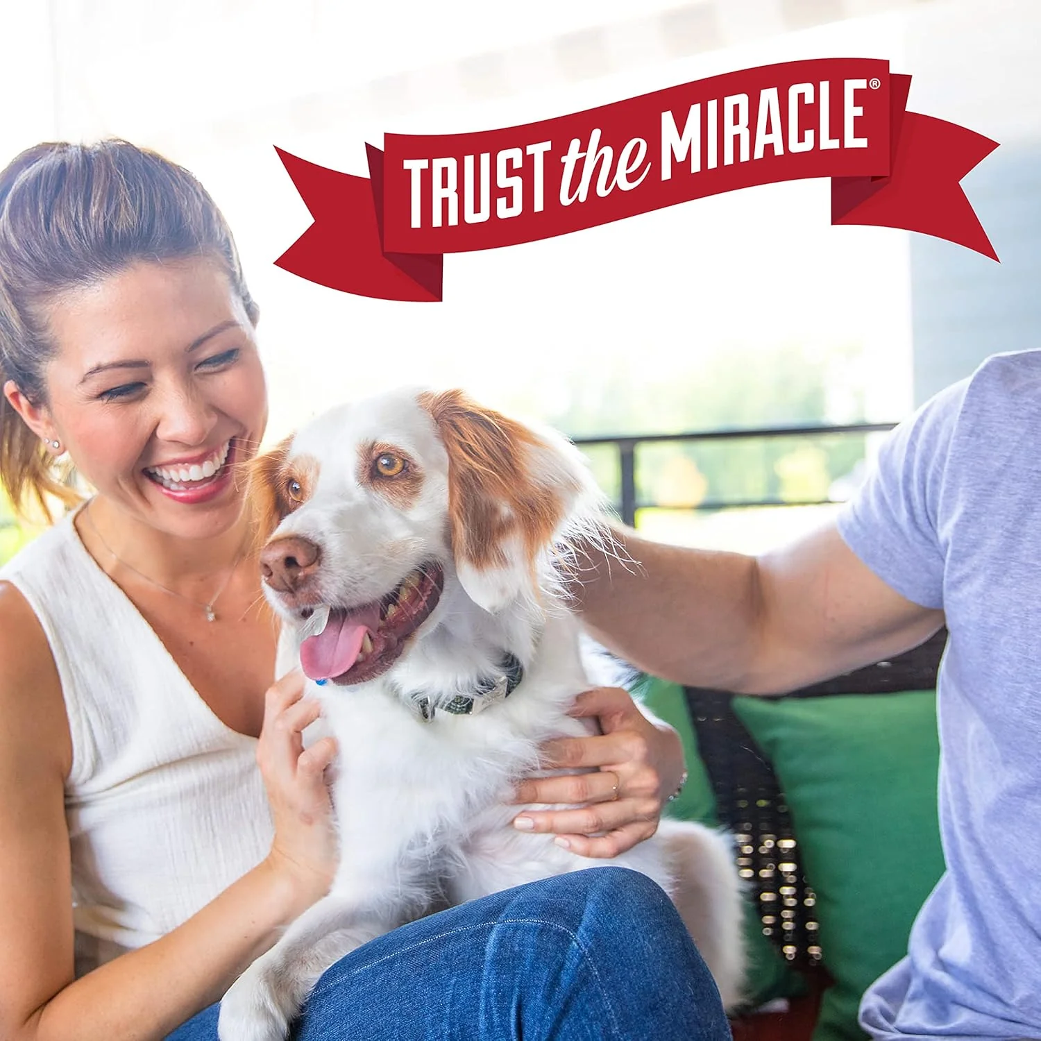 Nature’s Miracle® Stain & Odor Remover, Tough on Dog Urine, Feces, Vomit, Drool and Other Organic Stains and Odors, 1 Gallon - Image 9