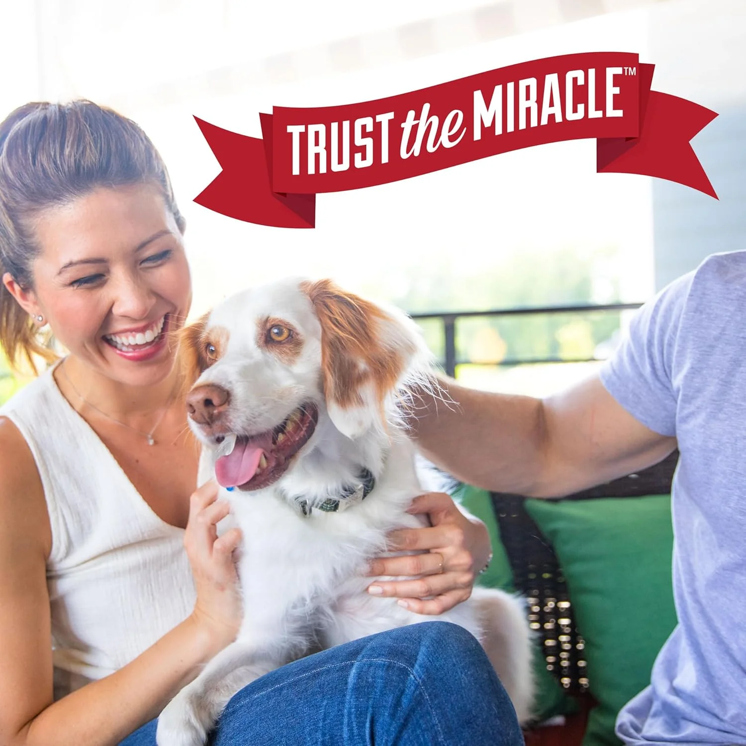 Nature’s Miracle Urine Destroyer Plus Dog, 32 Ounces, Enzymatic Formula, Ready-to-Use - Image 8