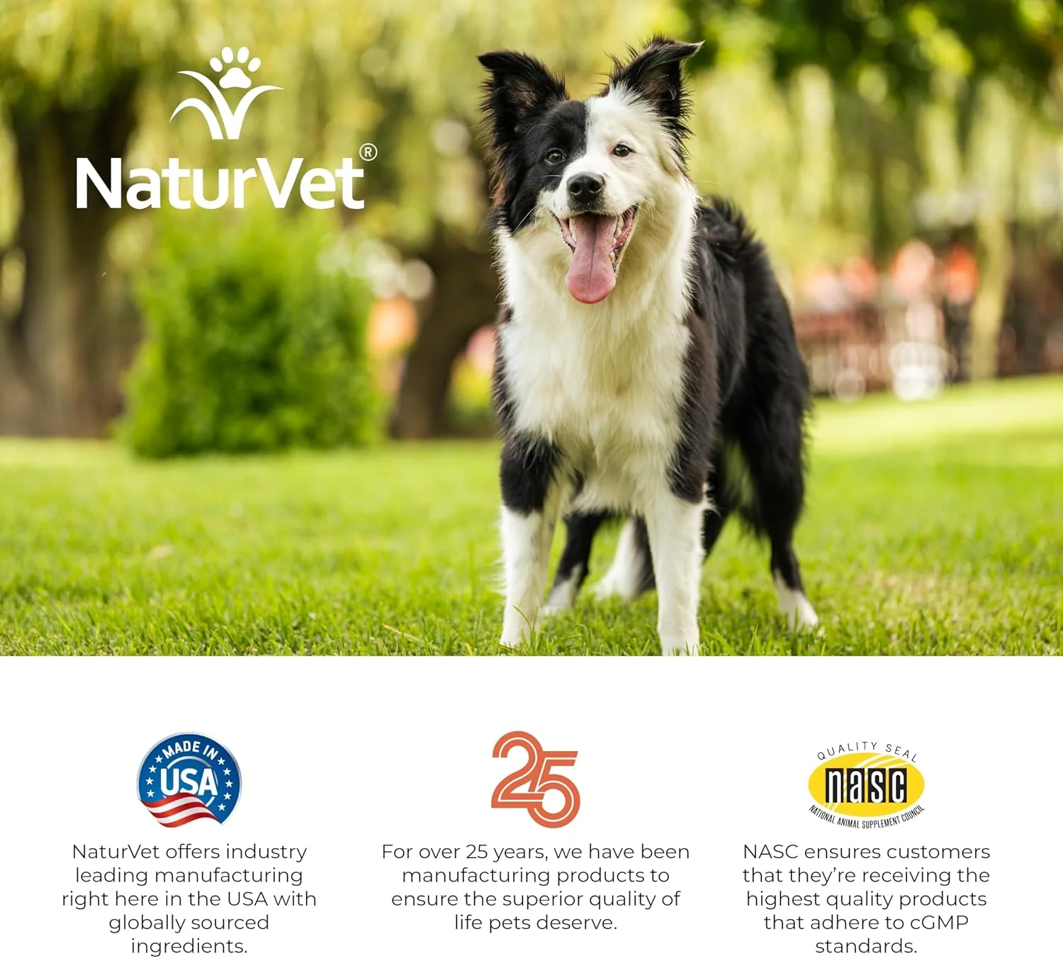 NaturVet – Digestive Enzymes - Plus Probiotics & Prebiotics – Helps Support Diet Change & A Healthy Digestive Tract – for Dogs & Cats (Soft Chews, 70 Count) - Image 6