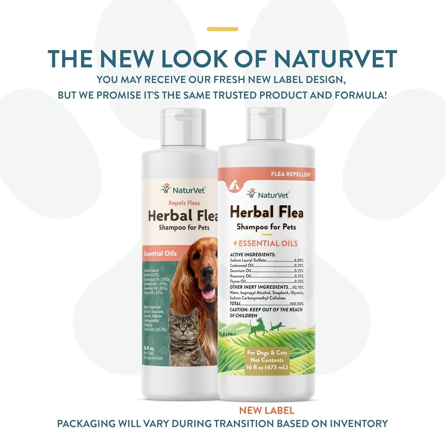NaturVet Herbal Flea Pet Shampoo with Essential Oils – Helps Against Fleas, Insects – Deodorizing Dog Shampoo – Includes Rosemary, Cedarwood, Geranium, White Thyme Oils – 16 Oz. - Image 2