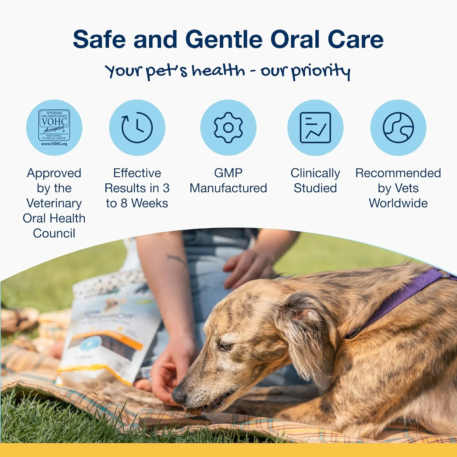 NaturVet Proden PlaqueOff Sytem Mini Dental Care Bones - Peanut Butter Banana - 12 oz, Brown - Image 2