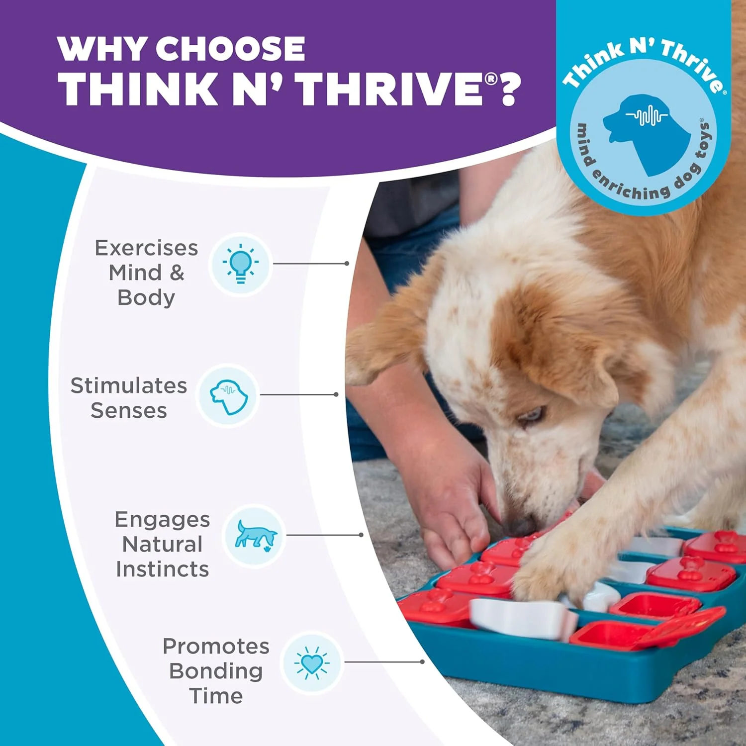 Nina Ottosson Dog Brick Treat Puzzle Enrichment Toy, Level 2 Intermediate Game, Blue - Image 6