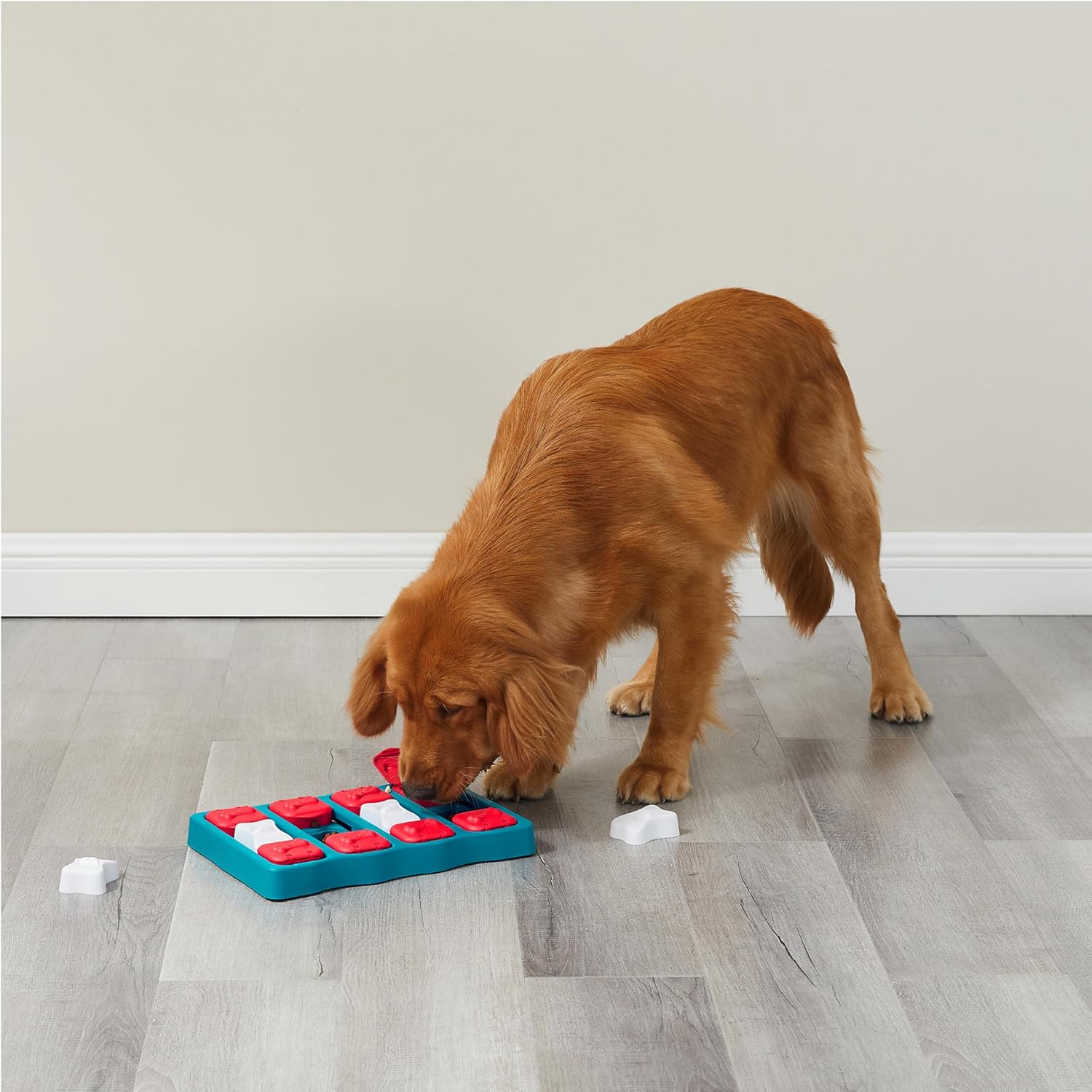 Nina Ottosson Dog Brick Treat Puzzle Enrichment Toy, Level 2 Intermediate Game, Blue - Image 8