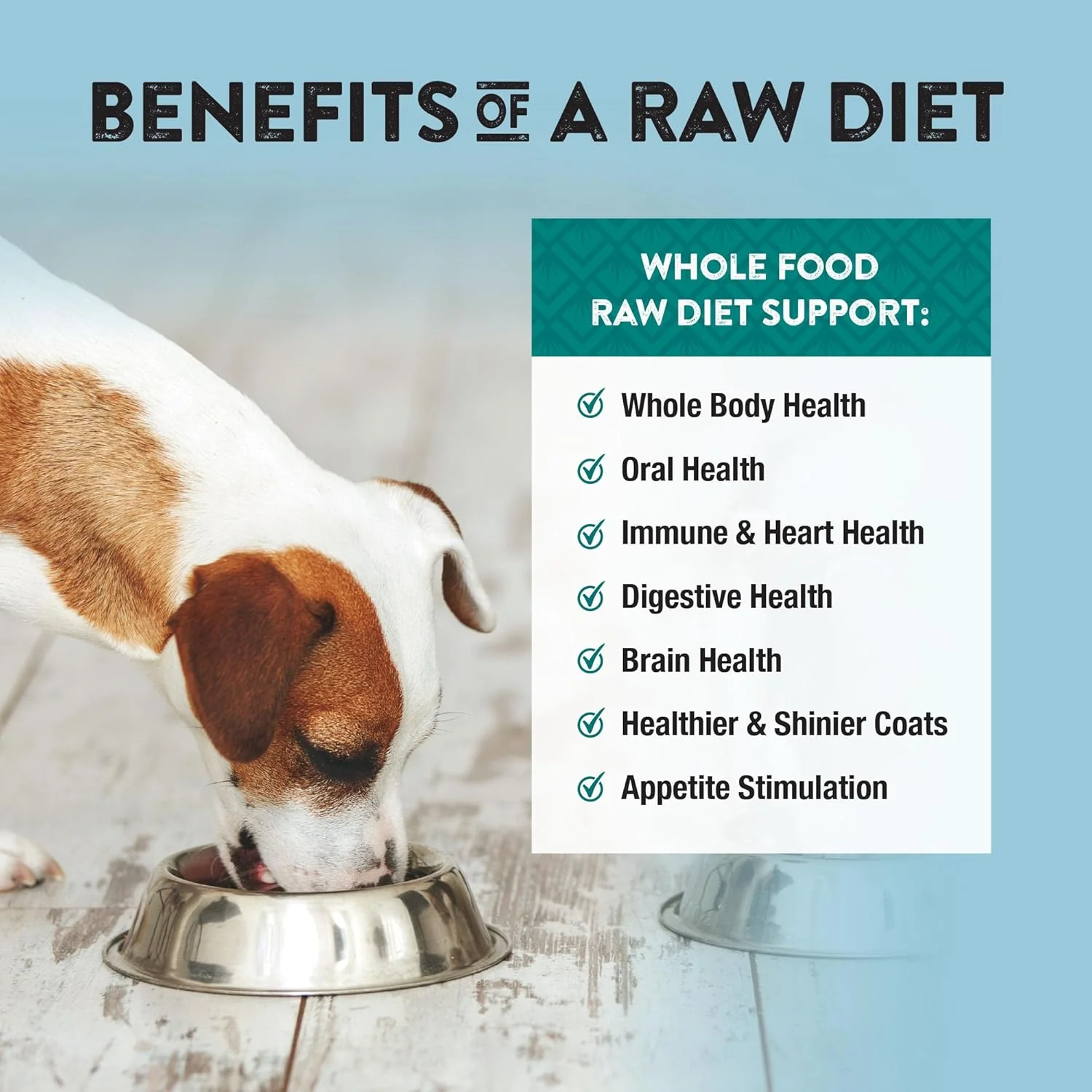 Northwest Naturals Freeze-Dried Chicken Dog Food - Bite-Sized Nuggets - Grain-Free, High-Protein, Raw Diet, Human-Grade Ingredients, All Natural, Healthy & Nutritious, Proudly Made in USA, - Image 4