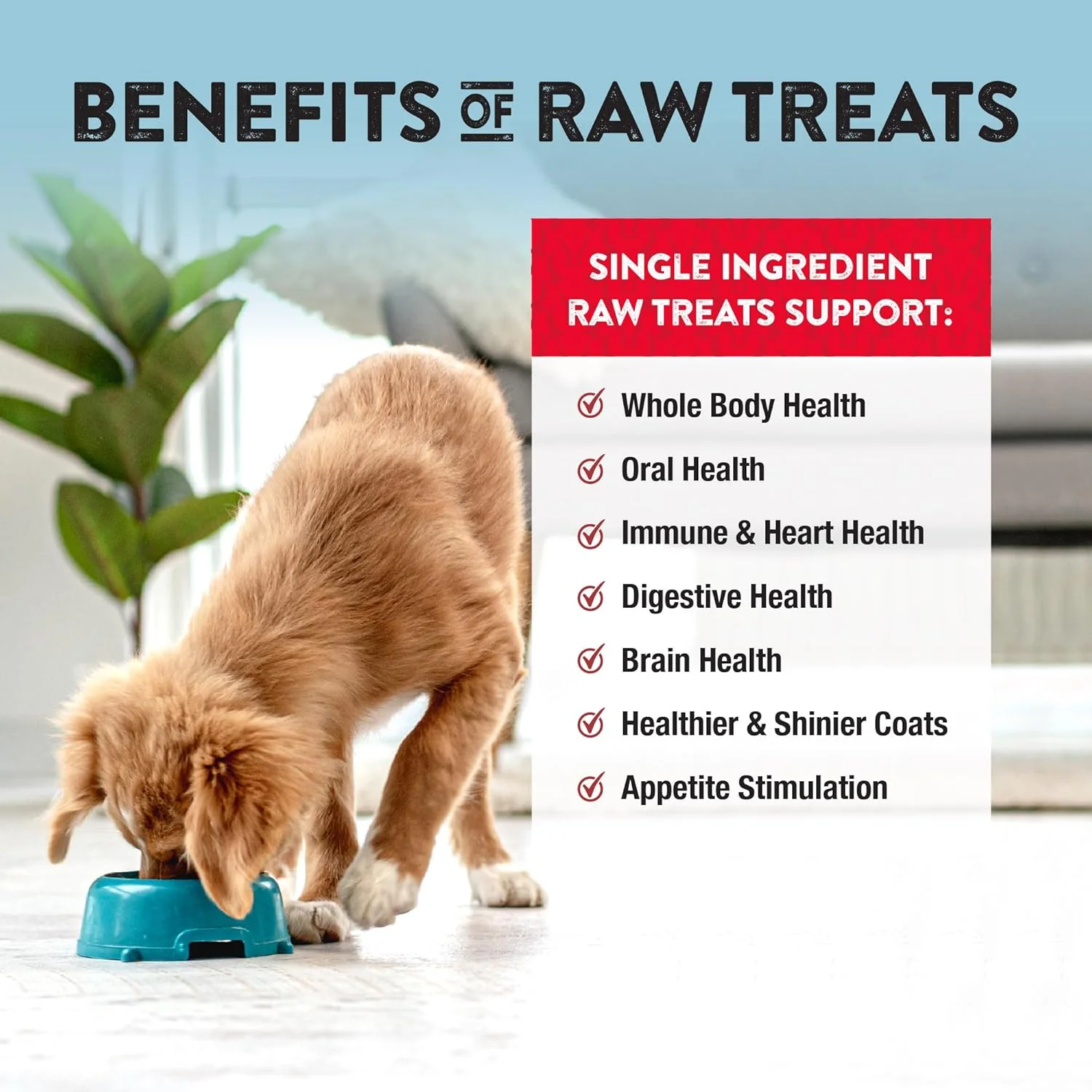 Northwest Naturals Raw Rewards Freeze-Dried Beef Liver Treats for Dogs and Cats - Bite-Sized Pieces - Healthy, 1 Ingredient, Human Grade Pet Food, All Natural, Proudly Made in USA, 10 Oz - Image 5