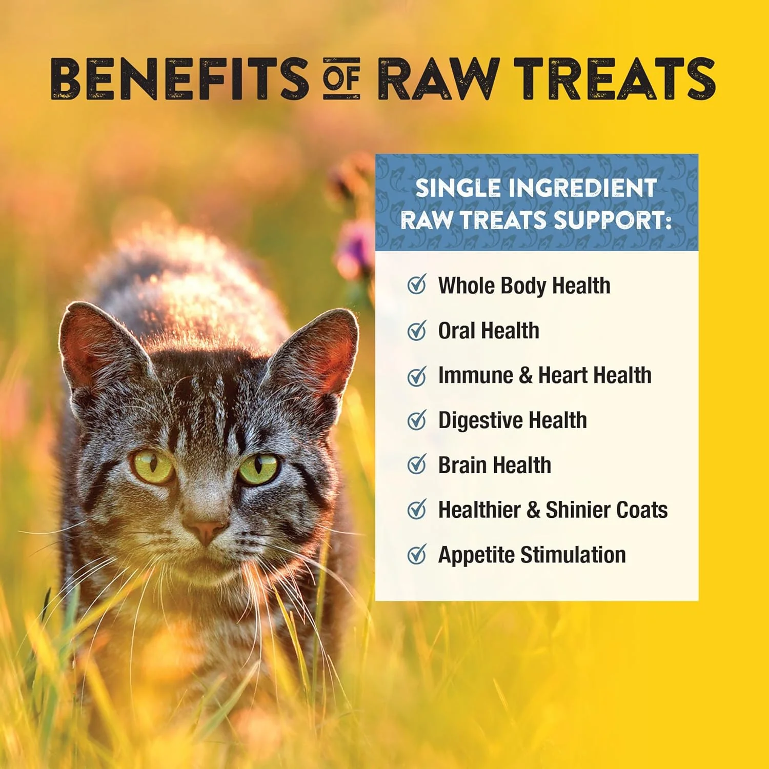 Northwest Naturals Raw Rewards Freeze-Dried Whitefish Treats for Dogs and Cats - Bite-Sized Pieces - Healthy, 1 Ingredient, Human Grade Pet Food, All Natural, Proudly Made in USA - Image 5
