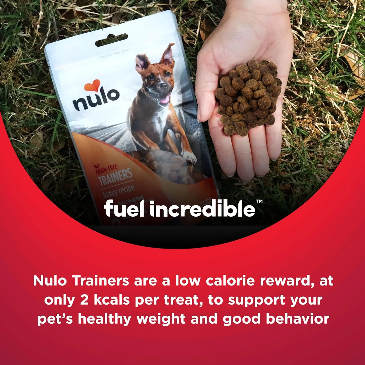 Nulo Freestyle Grain-Free Healthy Dog and Puppy Training Treats, Low Calorie Treats Made with Superfood Boost Ingredients, 2 Calories per Treat , 4 Ounce (Pack of 1) - Image 6