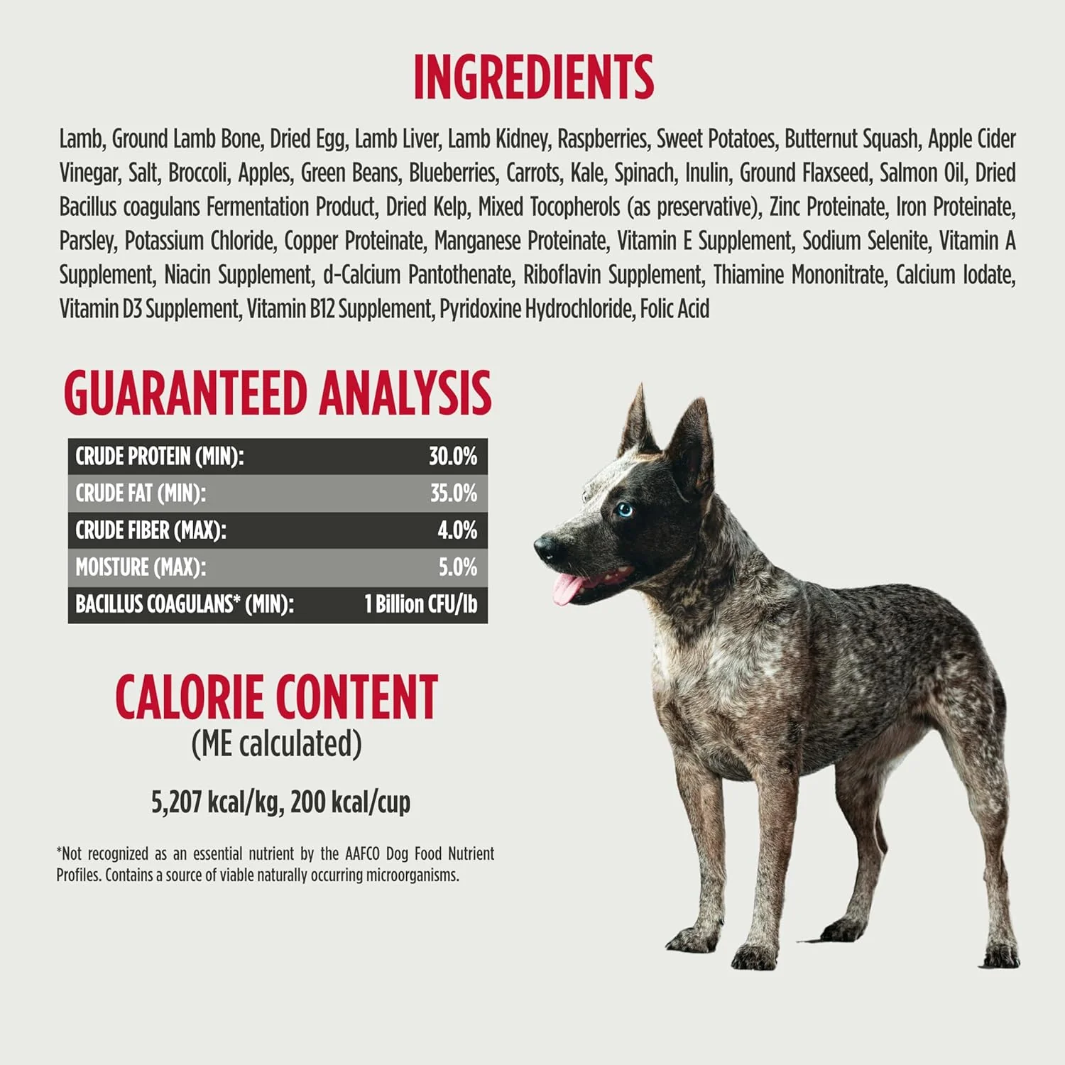 Nulo Freeze-Dried Raw Lamb Recipe with Raspberries Complete and Balanced Dry Dog Food Kibble - Image 4