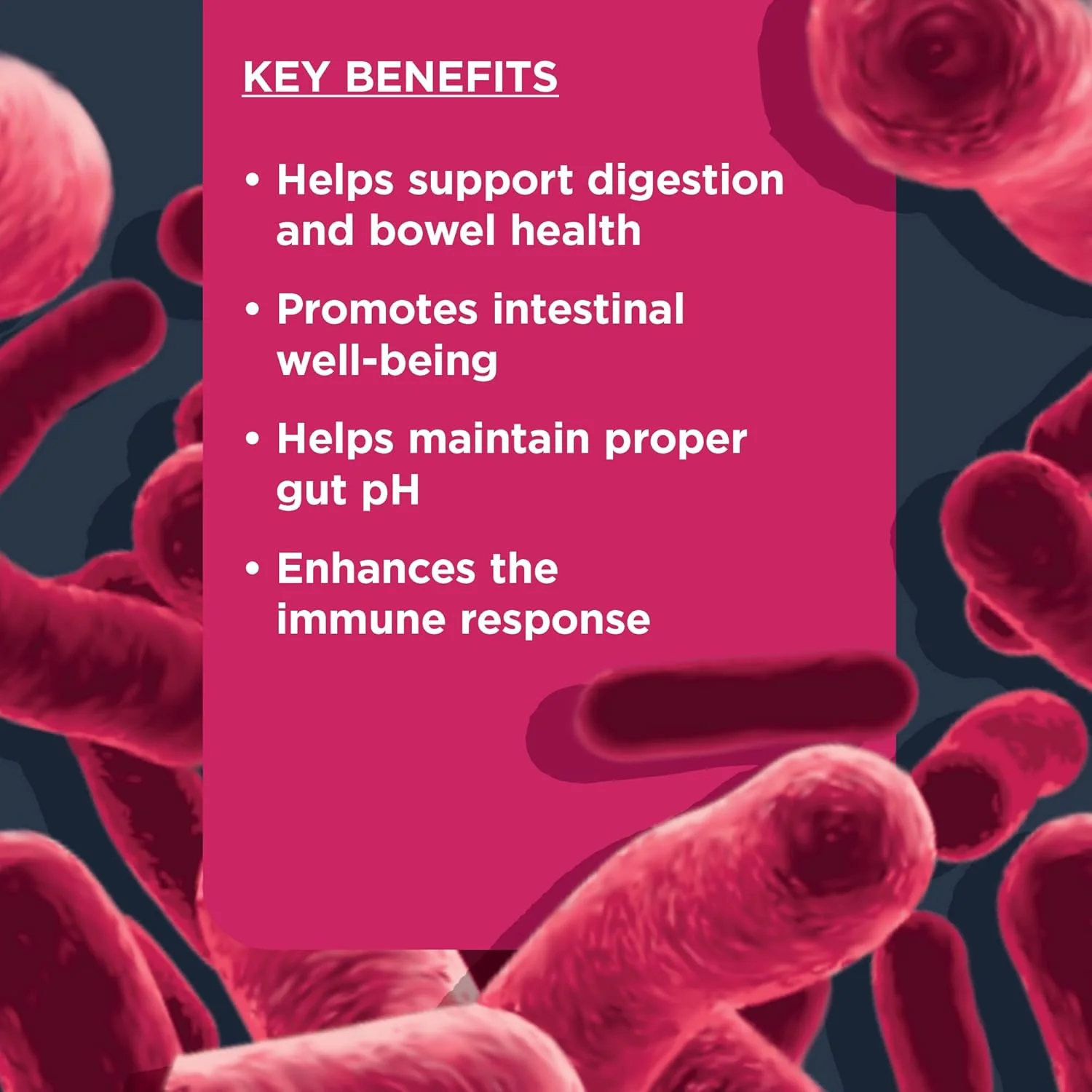 Nulo Functional Probiotics Dog Supplement, Made with prebiotic and probiotic to Help Support Dog Digestive and Bowel Health, 90 Soft Chews - Image 5