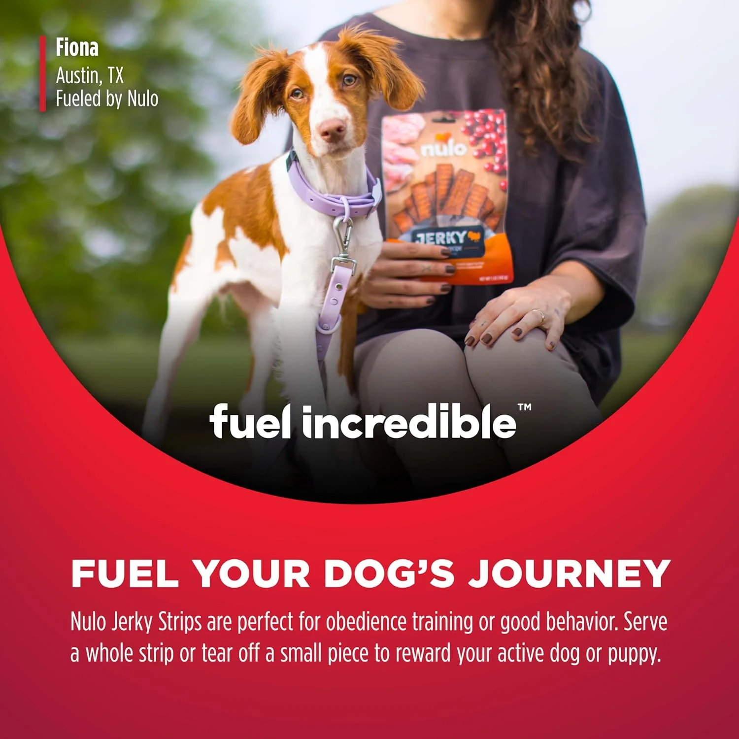 Nulo Premium Jerky Strips Dog Treats, Grain-Free High Protein Jerky Strips made with BC30 Probiotic to Support Digestive & Immune Health - Image 6