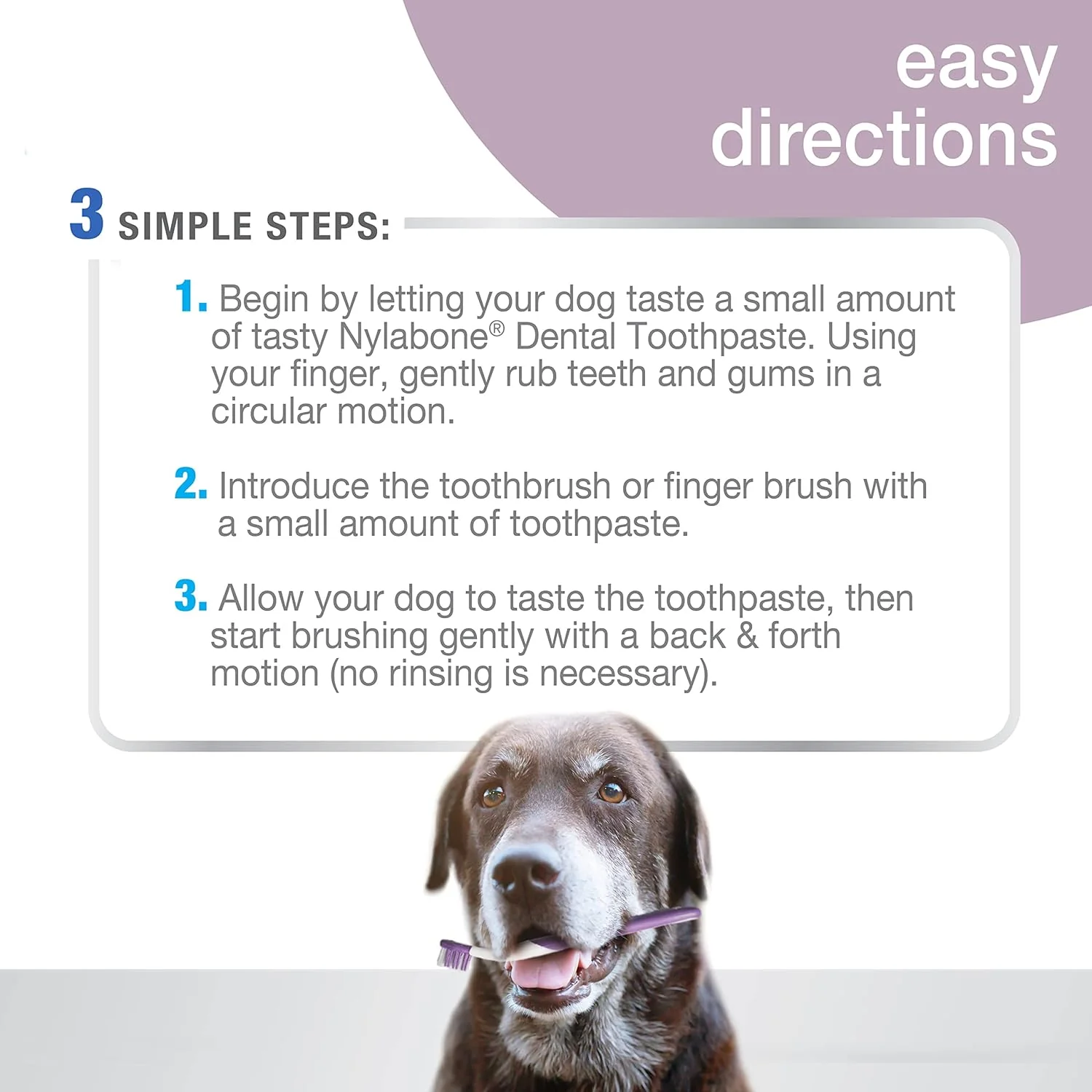 Nylabone Advanced Oral Care Senior Dog Dental Kit Bacon Flavor Small - Image 3