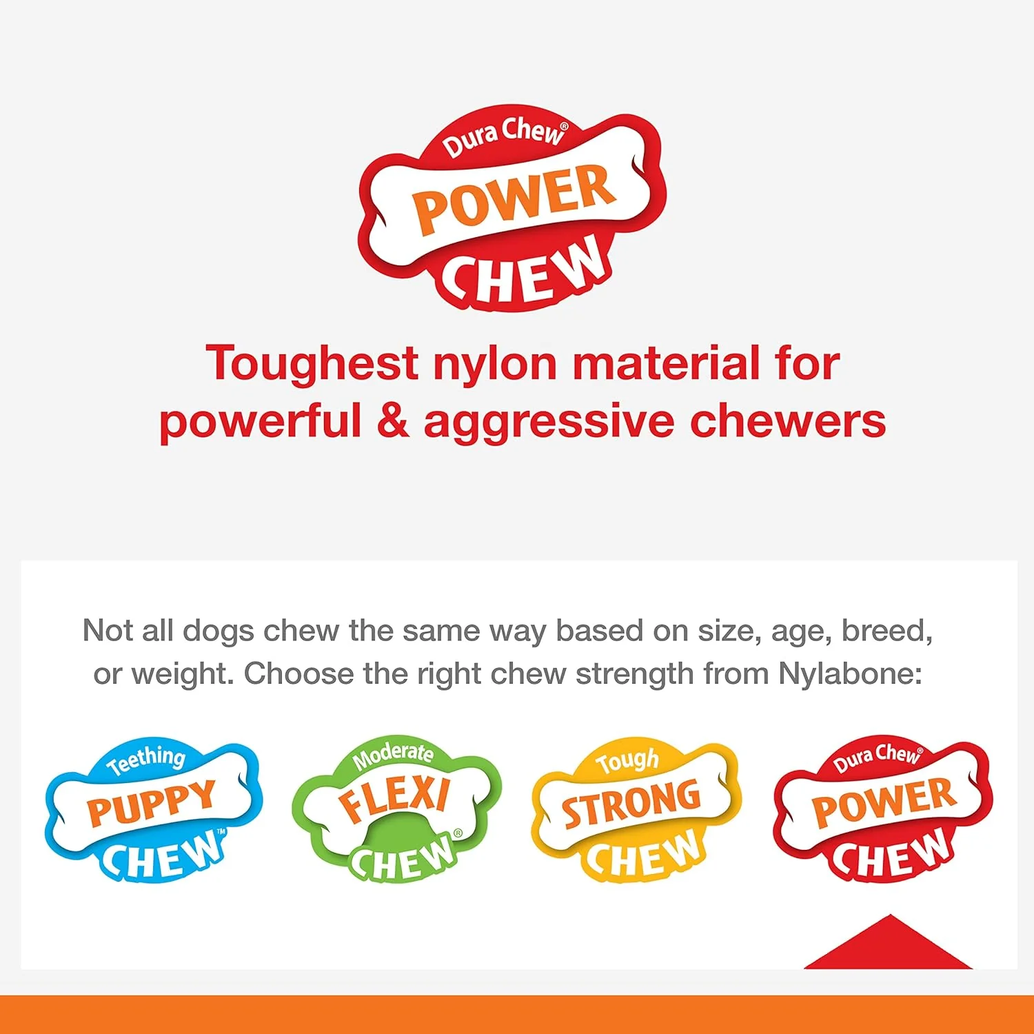Nylabone Baguette Power Chew Toy for Dogs, Dog Toys for Aggressive Chewers, Roast Chicken Flavor, Large Dogs - Up to 50 lbs, 1 Count - Image 13
