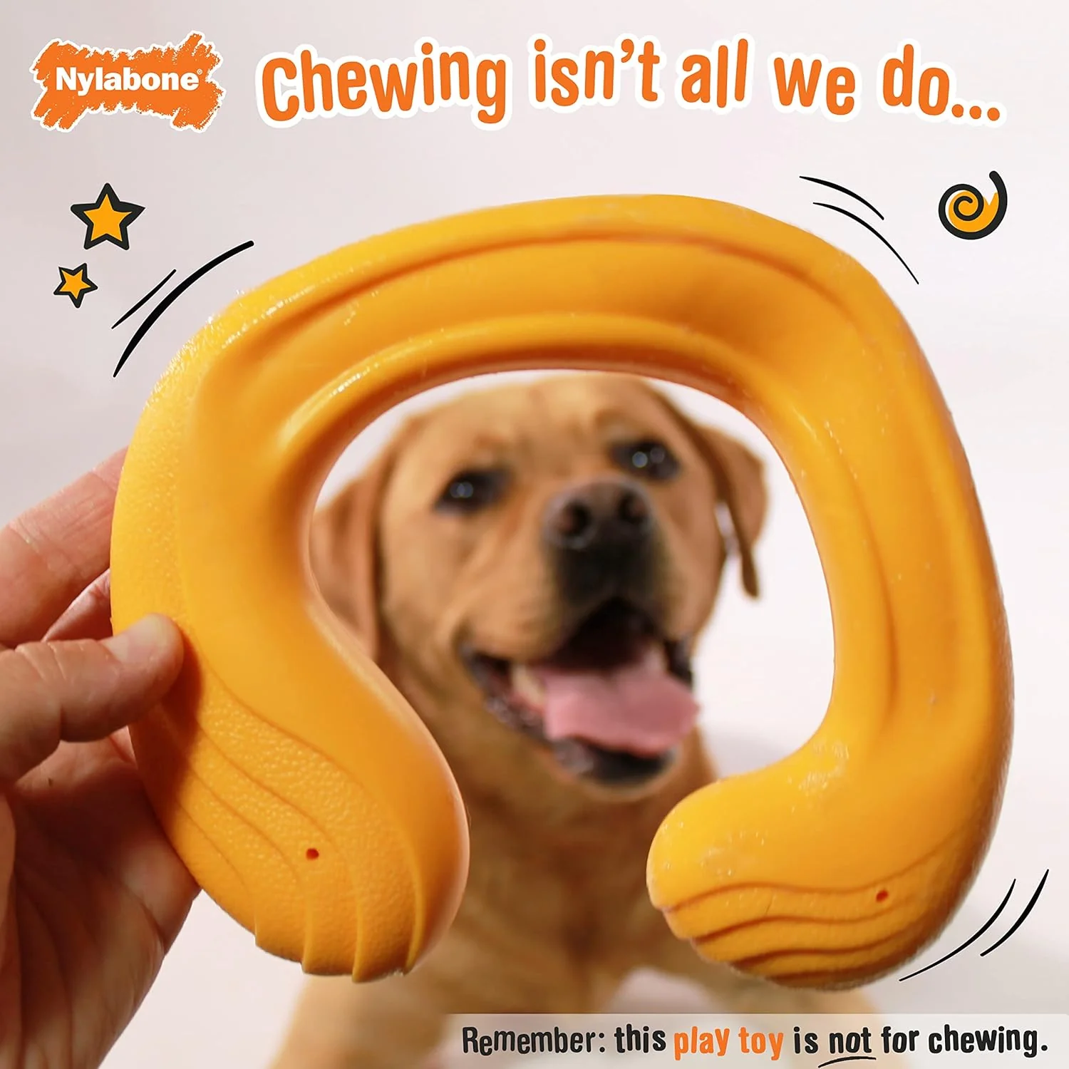 Nylabone C-Shuu Interactive Dog Toy – Lightweight Squishy Dog Chase Toy for Creative Play & Dog Exercise - Image 13