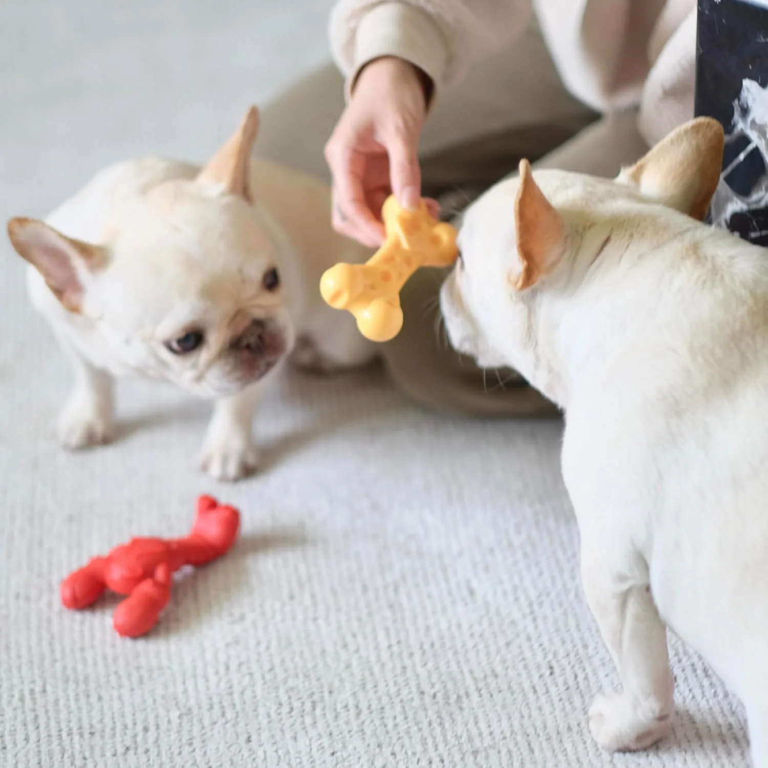 Nylabone Lobster Power Chew Toy for Dogs, Dog Toys for Aggressive Chewers, Filet Mignon Flavor, Small - Up to 25 Ibs, 1 Count - Image 15