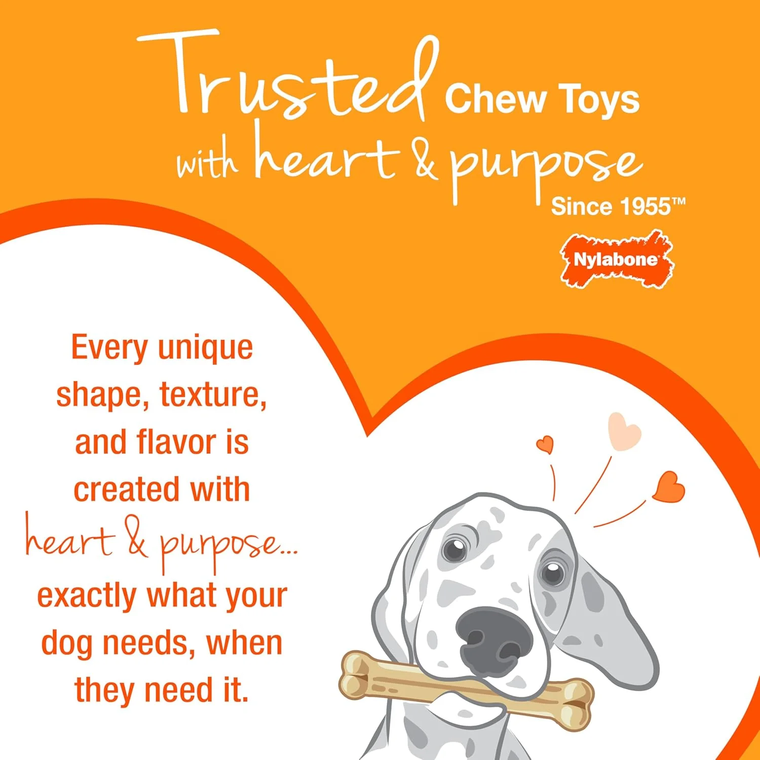 Nylabone Power Chew Classic Bone Chew Toy for Dogs, Durable Dog Toys for Aggressive Chewers, Chicken Flavor - Image 9