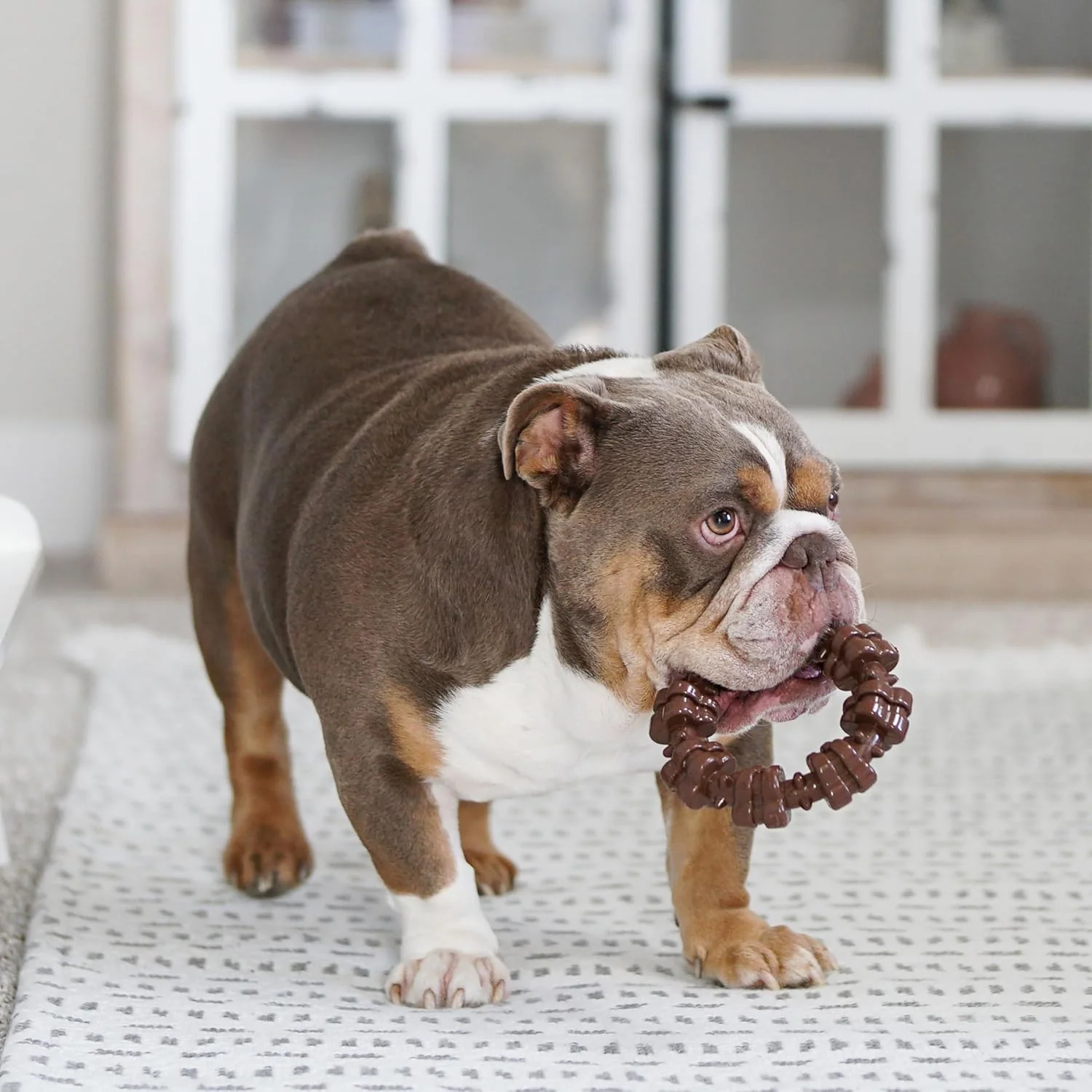 Nylabone Power Chew Textured Dog Chew Ring Toy, Dog Toys for Aggressive Chewers, Flavor Medley, X-Large/Souper (1 Count) - Image 14