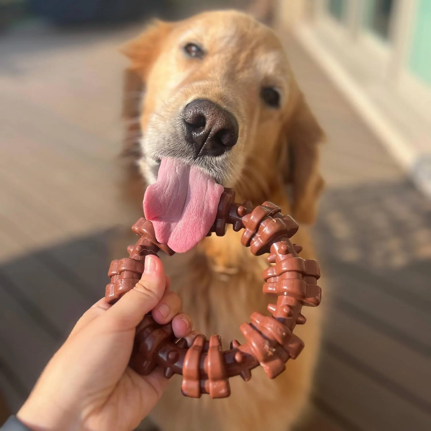 Nylabone Power Chew Textured Dog Chew Ring Toy, Dog Toys for Aggressive Chewers, Flavor Medley, X-Large/Souper (1 Count) - Image 7