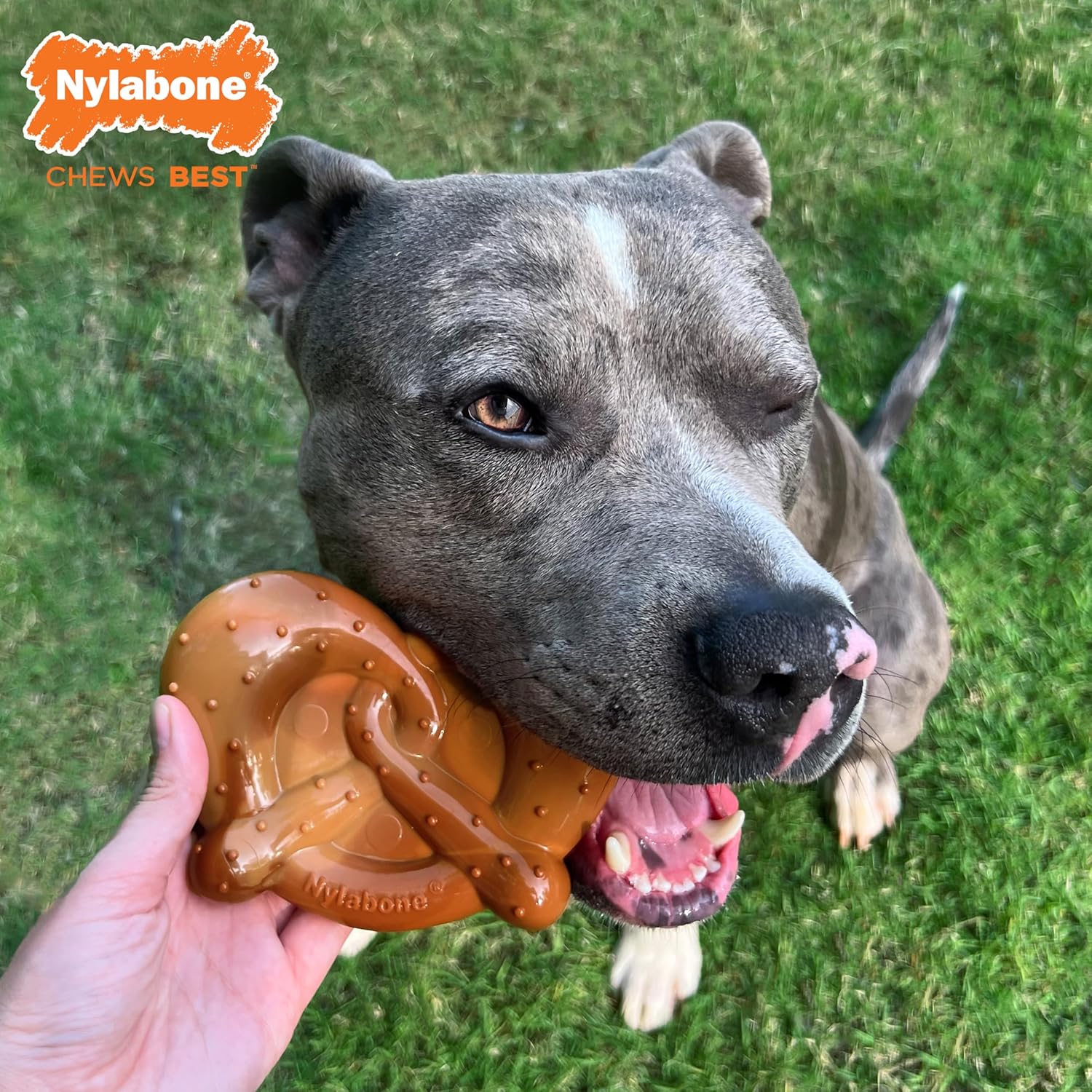 Nylabone Pretzel Power Chew Toy for Dogs, Dog Toys for Aggressive Chewers, Bacon & Peanut Butter Flavor, X-Large Dogs - 50+ lbs, 1 Count - Image 3