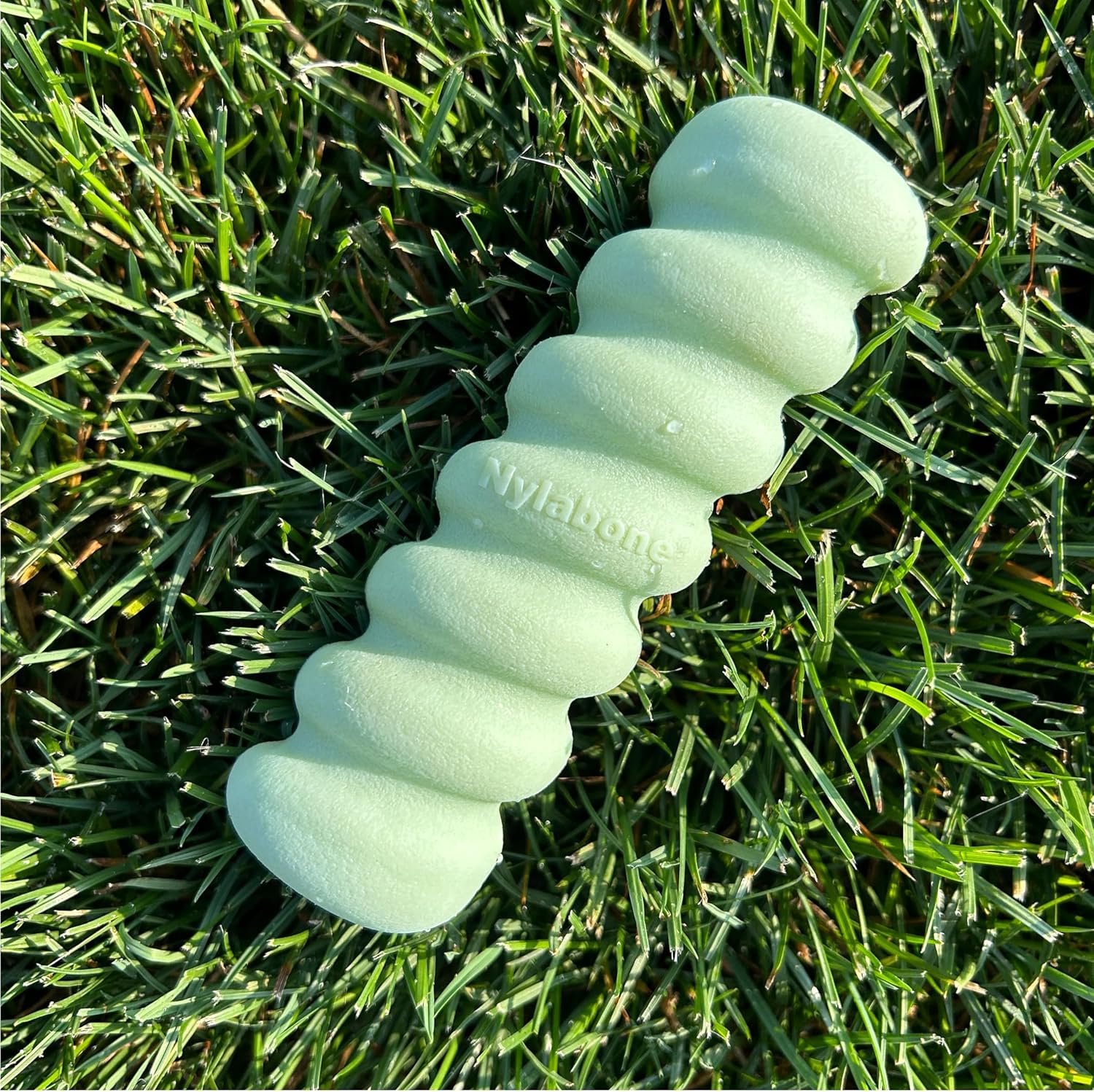 Nylabone Sensory Material Soothing Puppy Chew Toy Stick, Toys for Teething Puppies, Peanut Butter Flavor, Small - Up to 25 lbs, 1 Count - Image 6