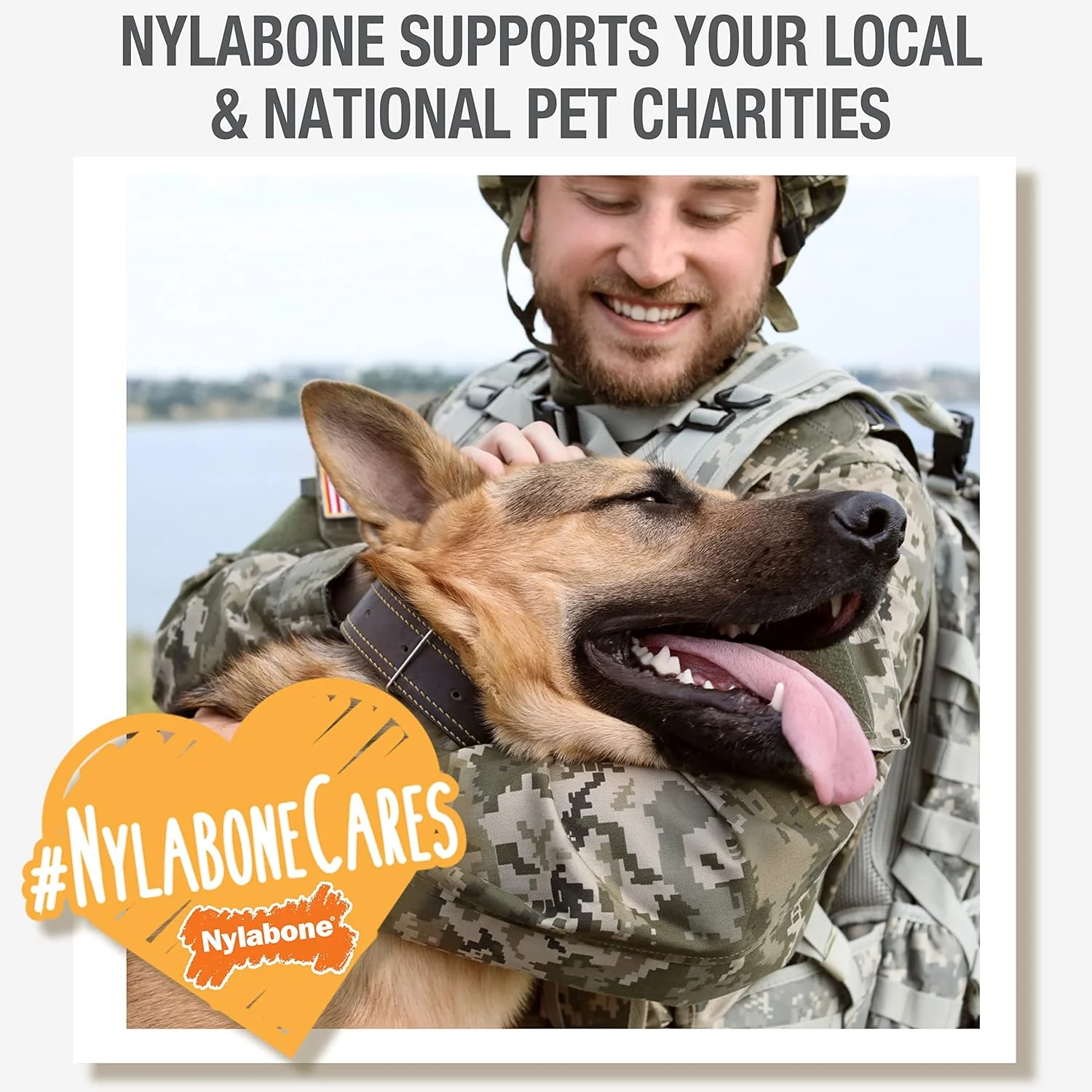Nylabone Springa Interactive Dog Toy – Lightweight Flexible Floatable Dog Tug Toy for Creative Play & Dog Exercise - Image 10