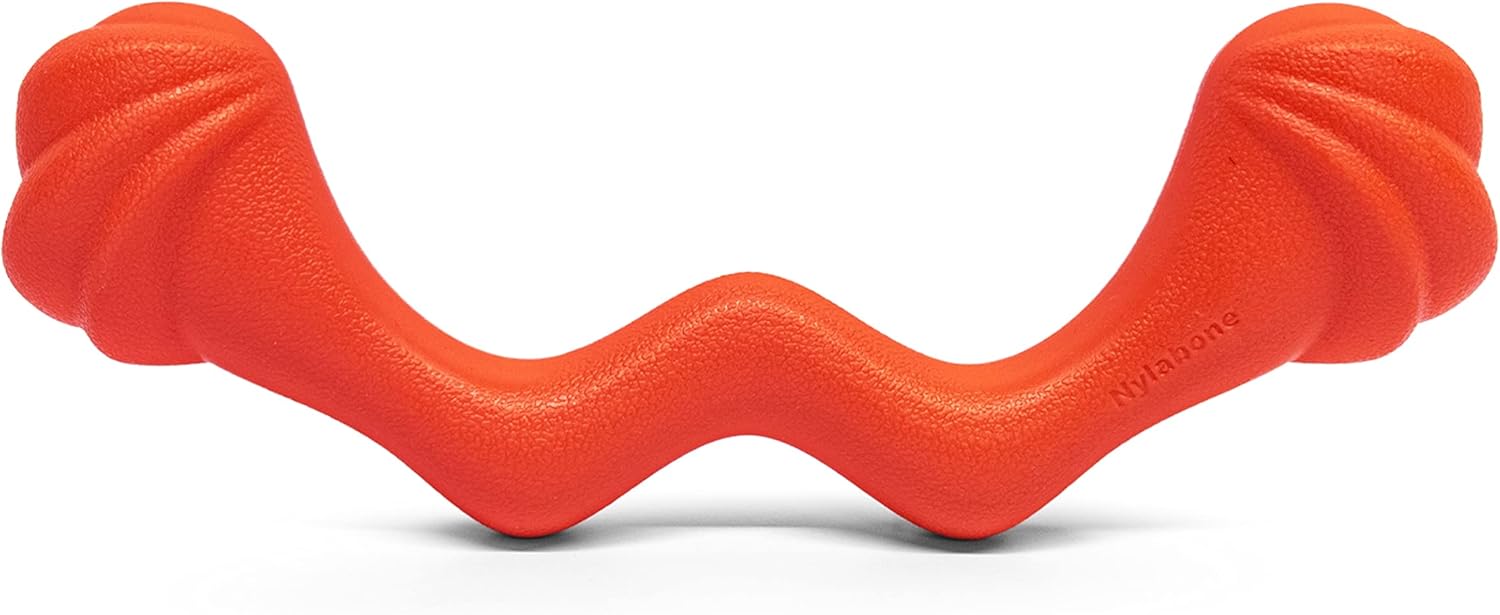 Nylabone Springa Interactive Dog Toy – Lightweight Flexible Floatable Dog Tug Toy for Creative Play & Dog Exercise - Image 12